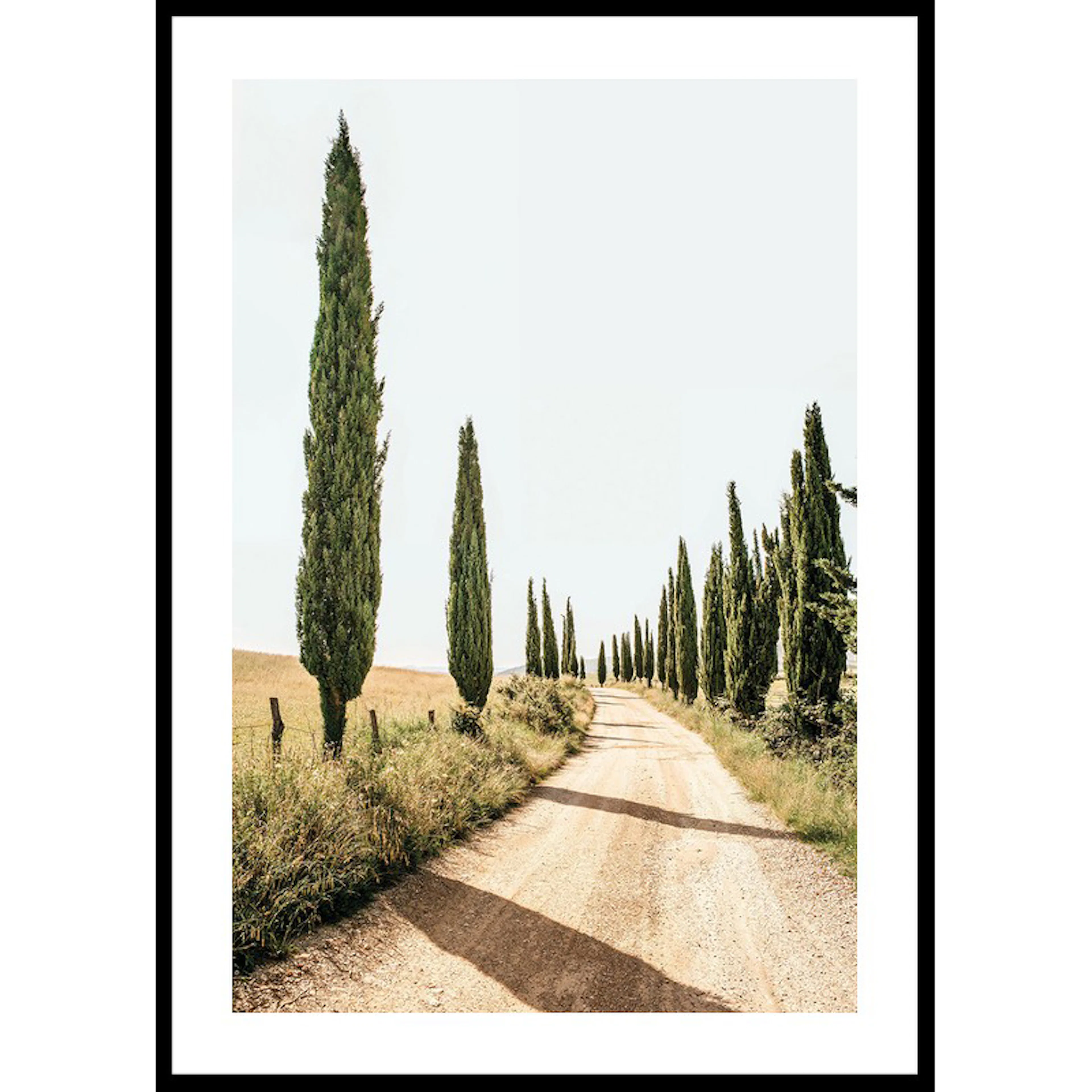 Tuscan Cypress Lane 30x40 30x40 cm