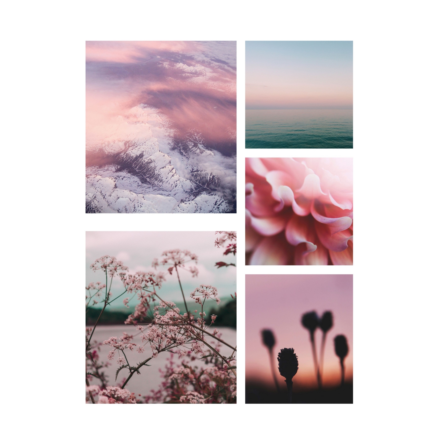 Tavla Art For The Home 5 Delar Tystnad Rosa