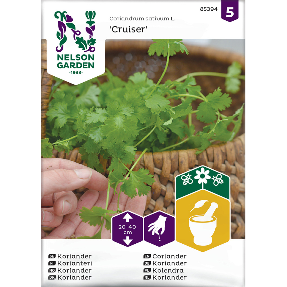 Frö Koriander Nelson Garden Cruiser