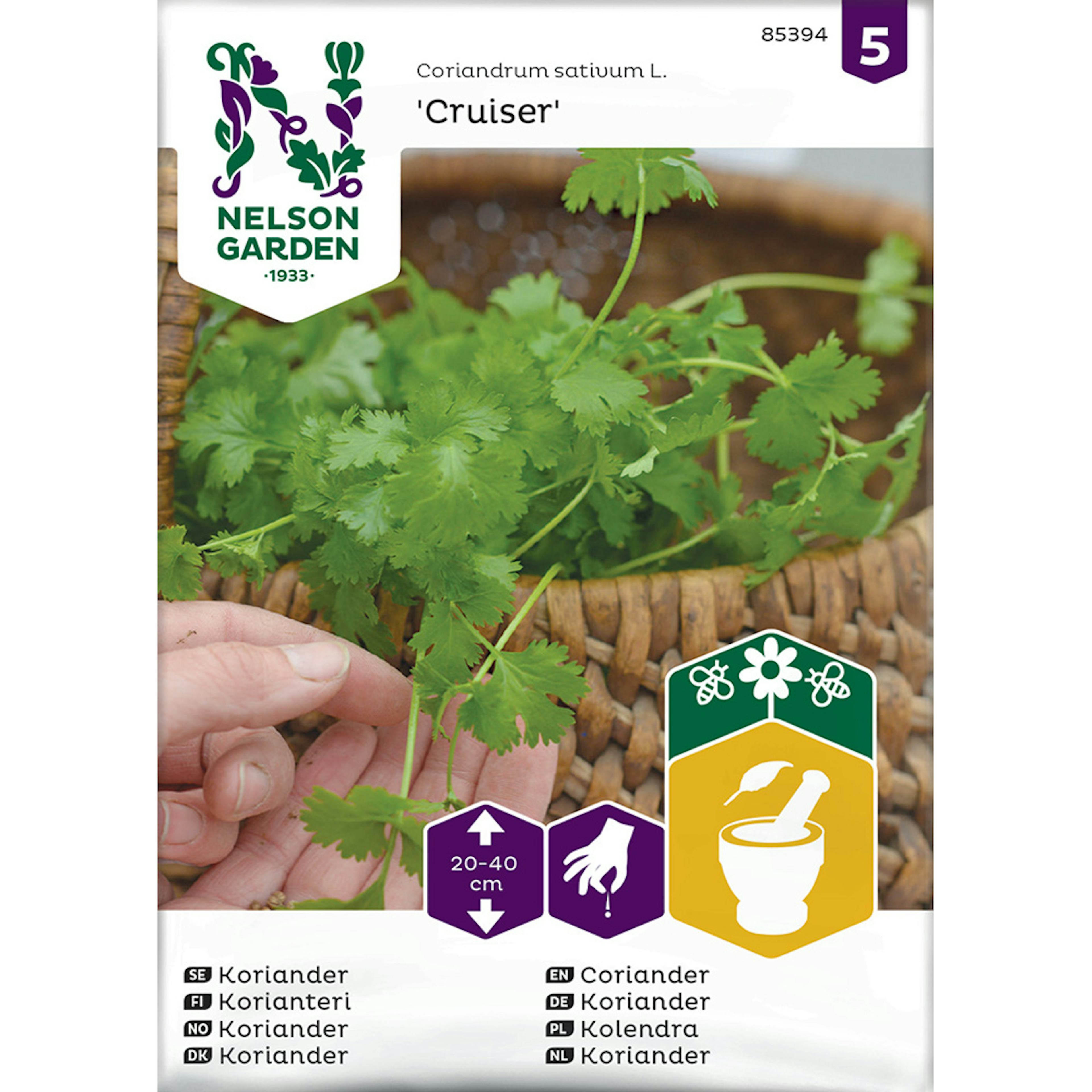 Frö Koriander Nelson Garden Cruiser