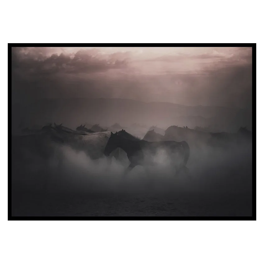 Poster Gallerix Sunset Horses