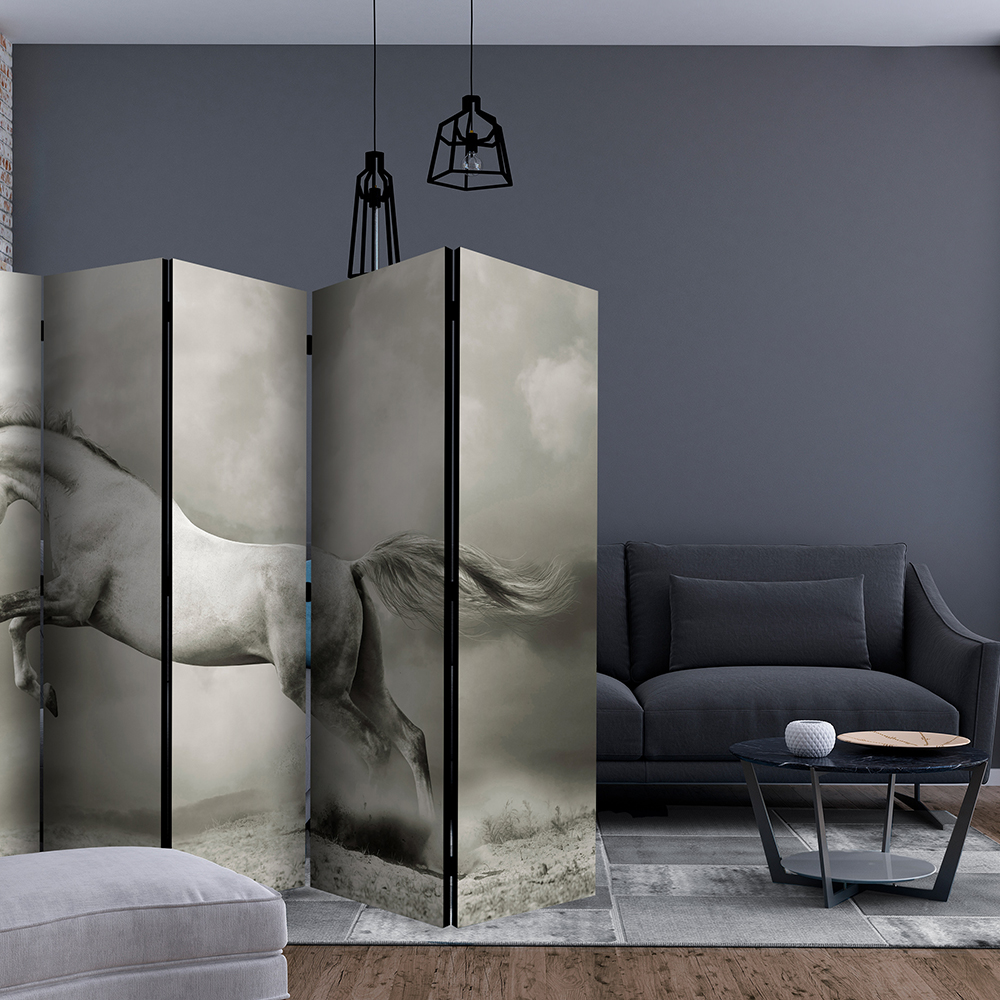 Rumsavdelare Arkiio Wild Stallion II 225x172 cm