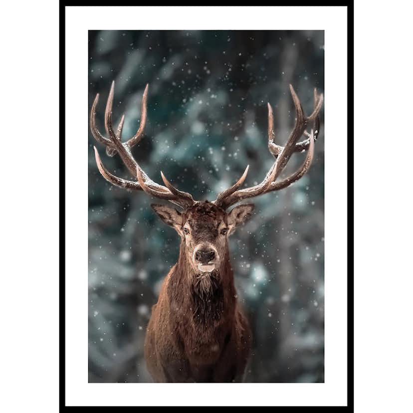 Poster Gallerix Majestic Deer