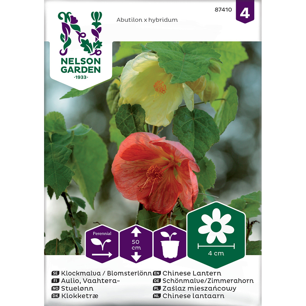 Frö Klockmalva Blomsterlönn Nelson Garden Bl färger