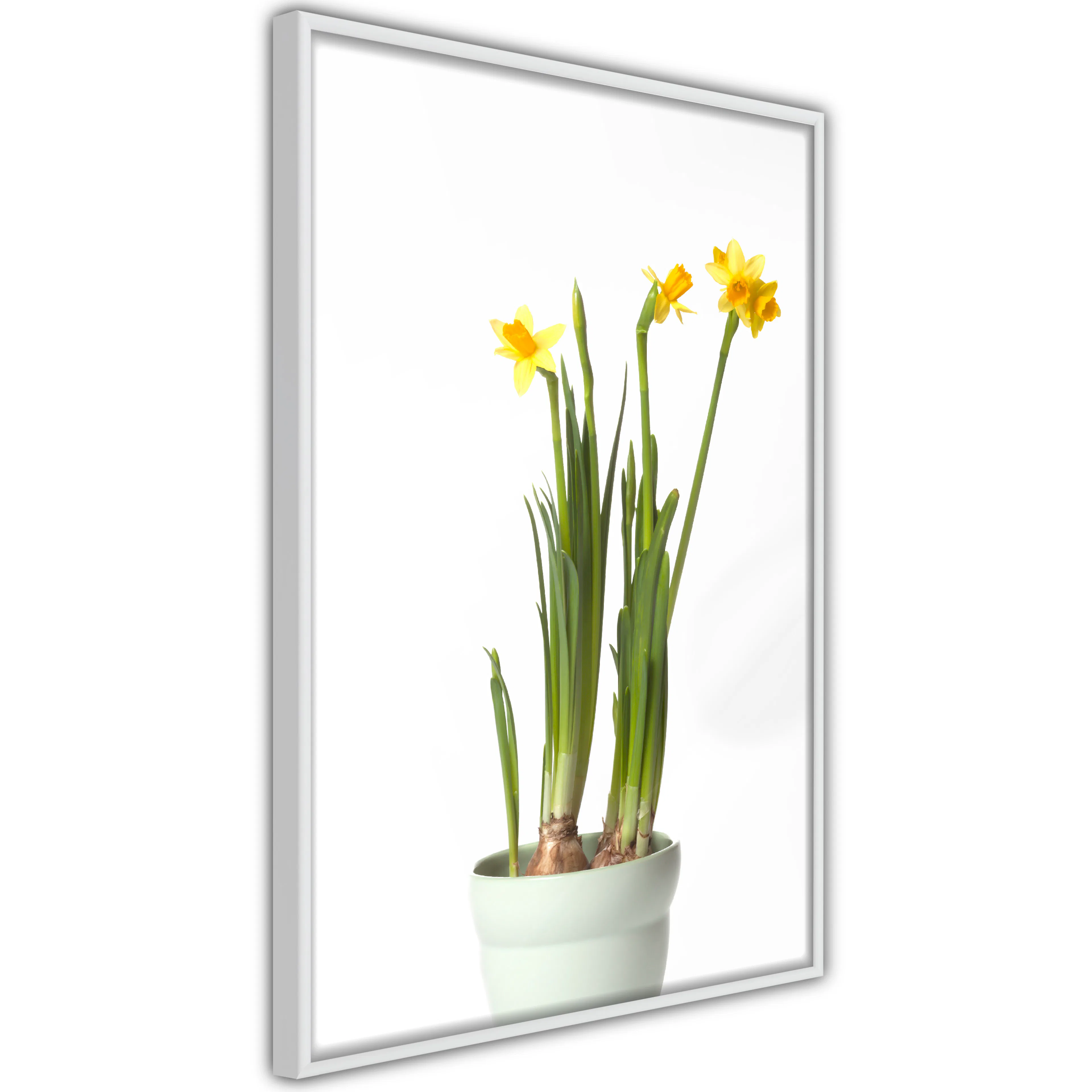 Poster Artgeist Affisch Narcissus