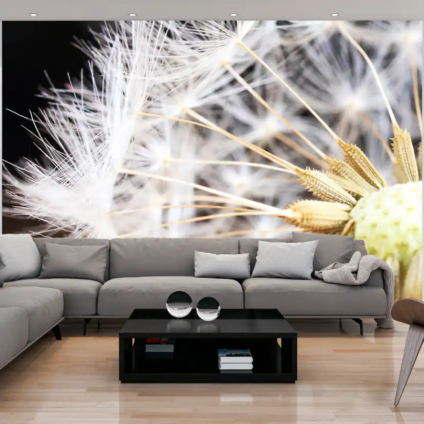 Fototapet Arkiio Fluffy Dandelion