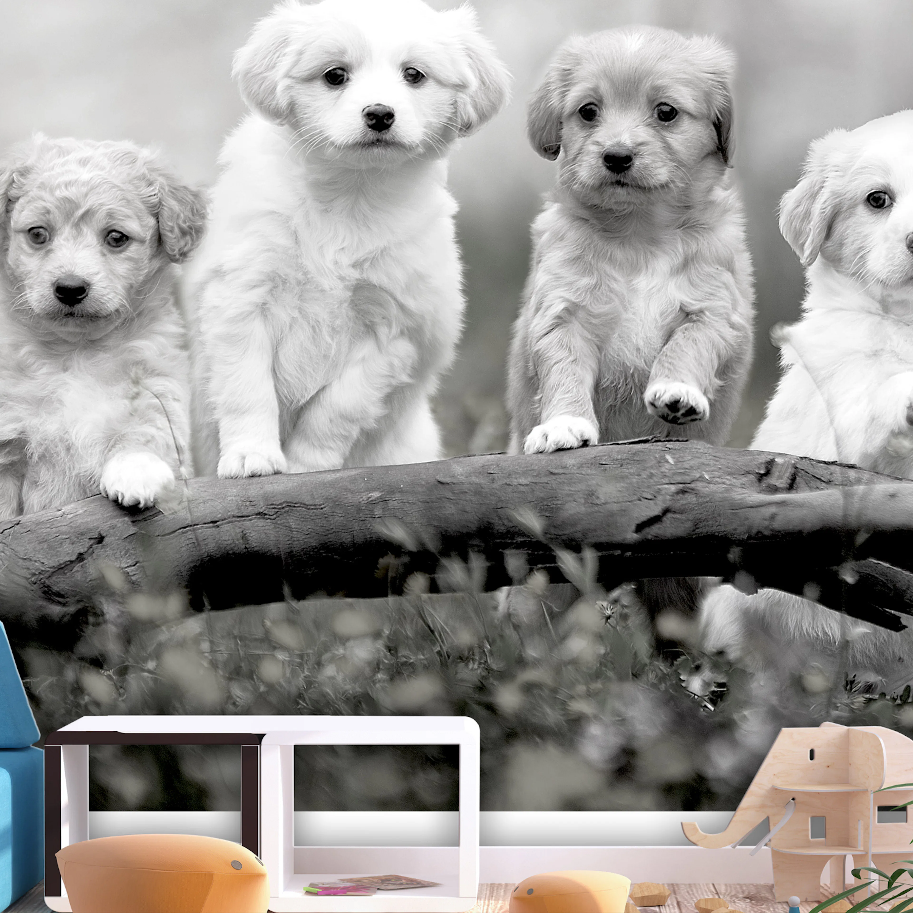 Fototapet - Four Puppies 450x315 450x315 cm