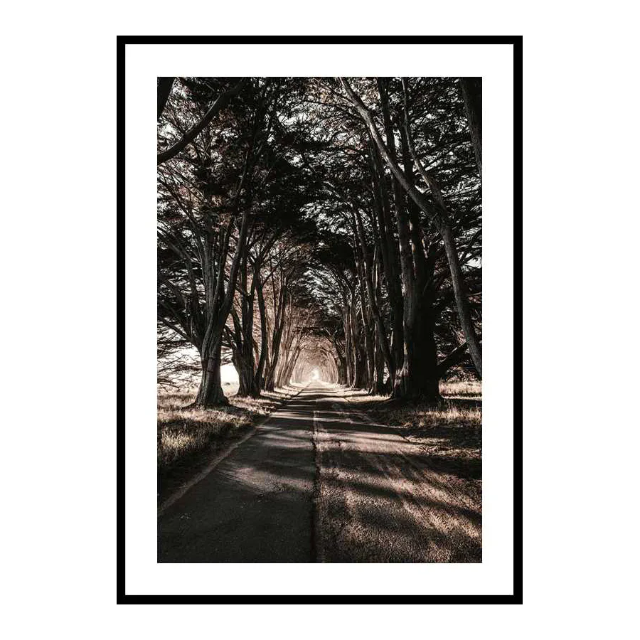 Poster Gallerix Road Amidst Trees