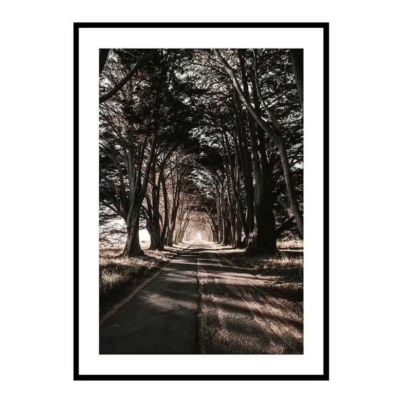 Poster Gallerix Road Amidst Trees