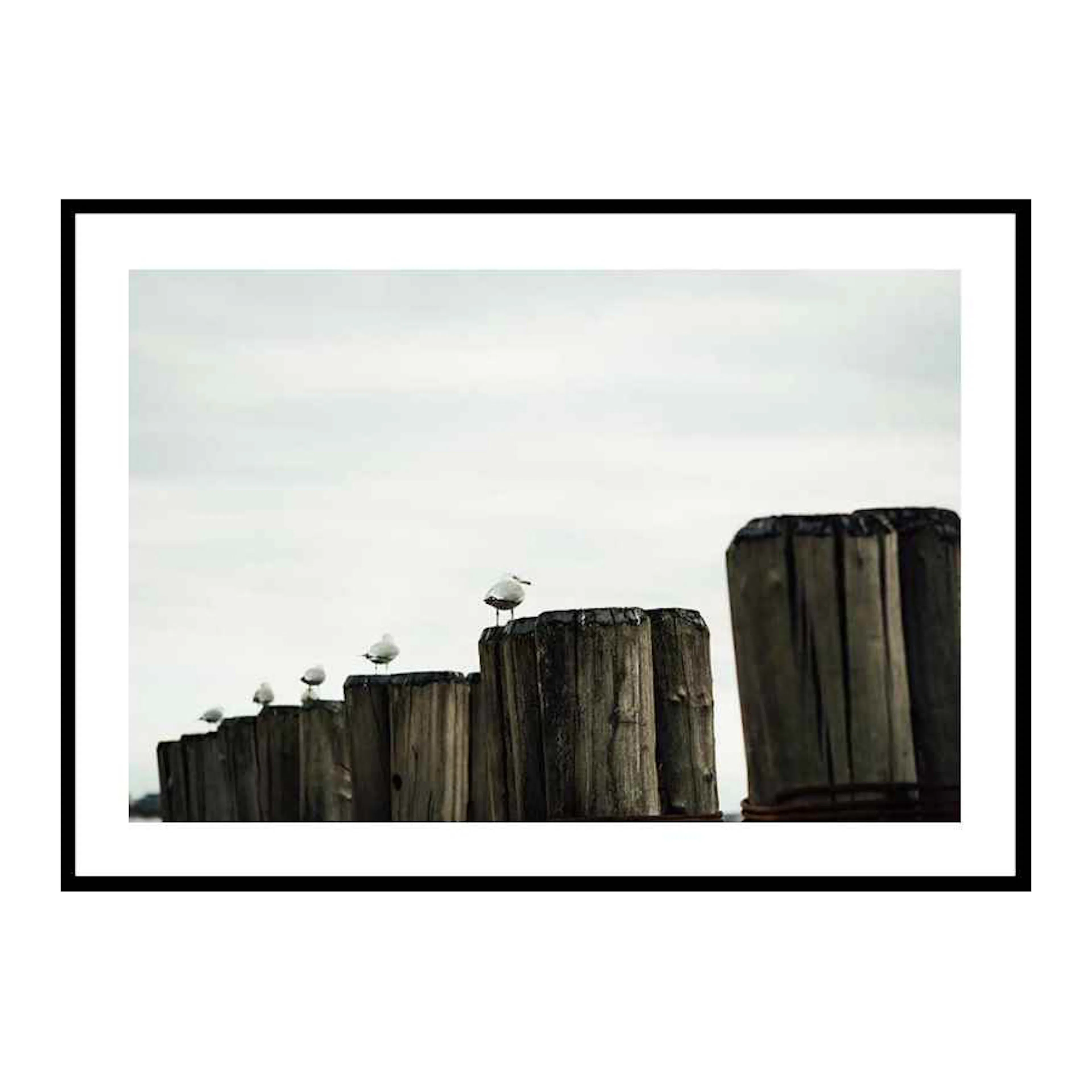 Seagulls Harbor 30x40 cm