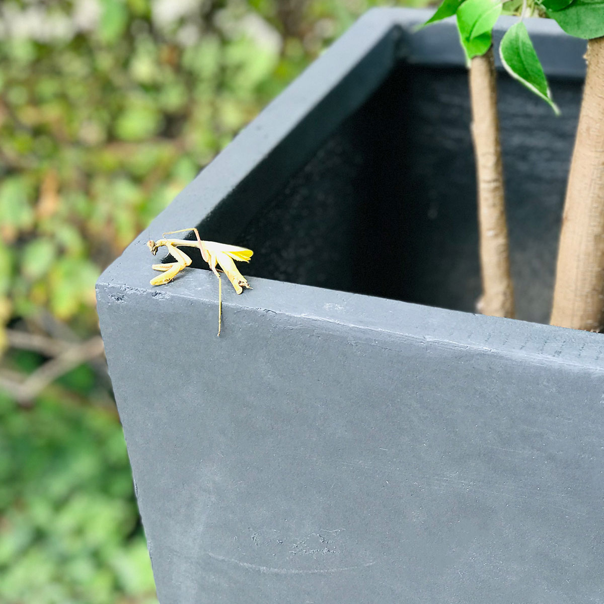 Ytterkruka Lyfco Antracit