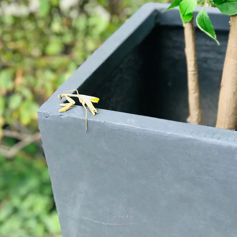 Ytterkruka Lyfco Antracit