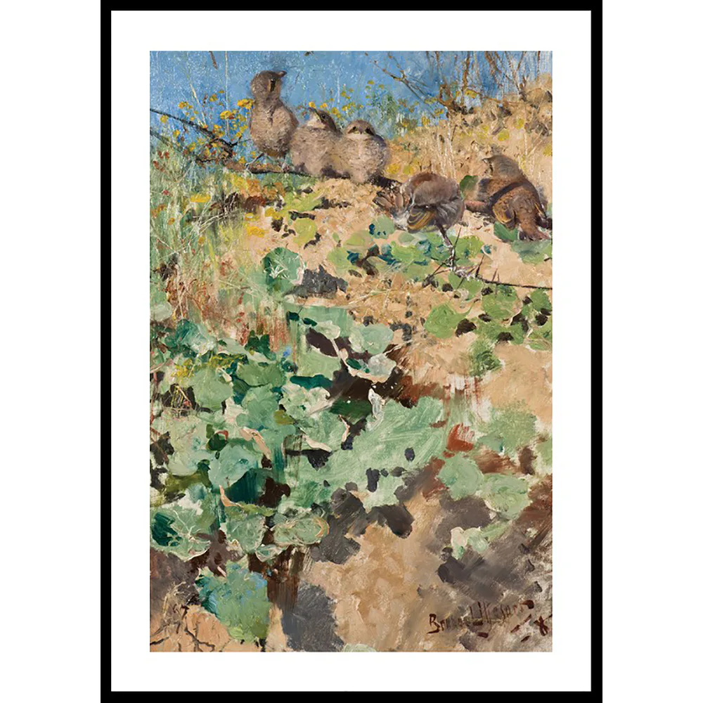 Poster Gallerix Törnskateungar By Bruno Liljefors