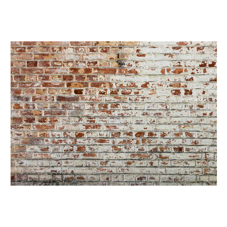 Fototapet Arkiio Walls Of Memory