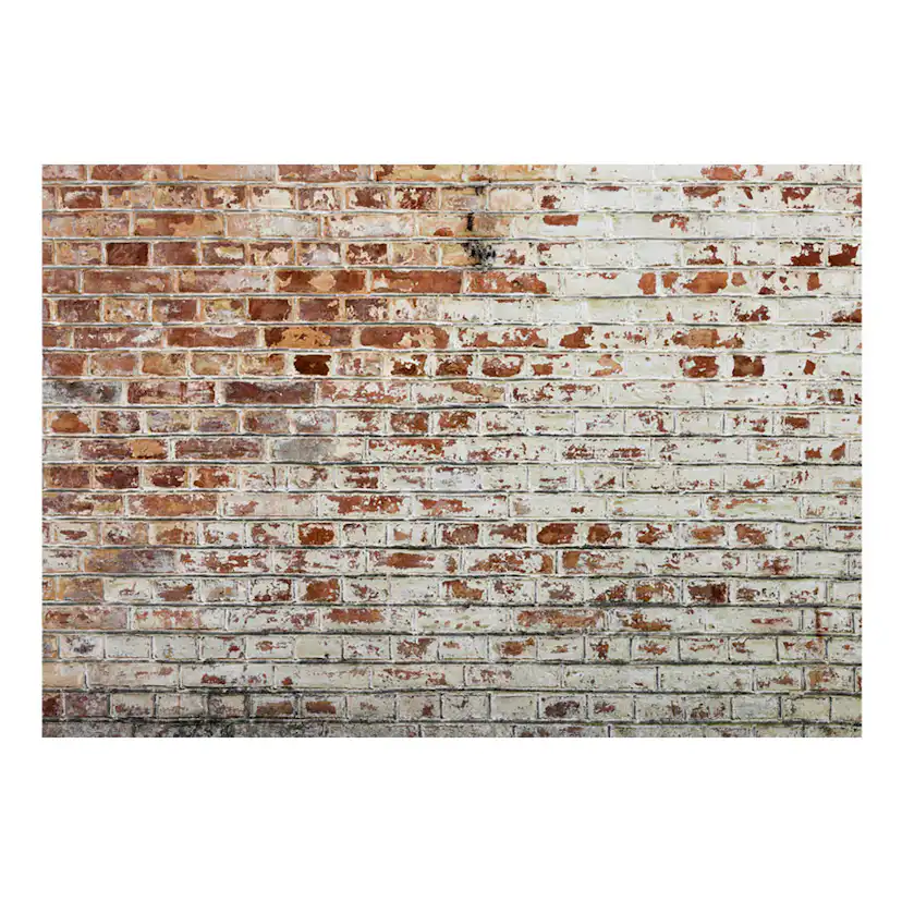 Fototapet Arkiio Walls Of Memory