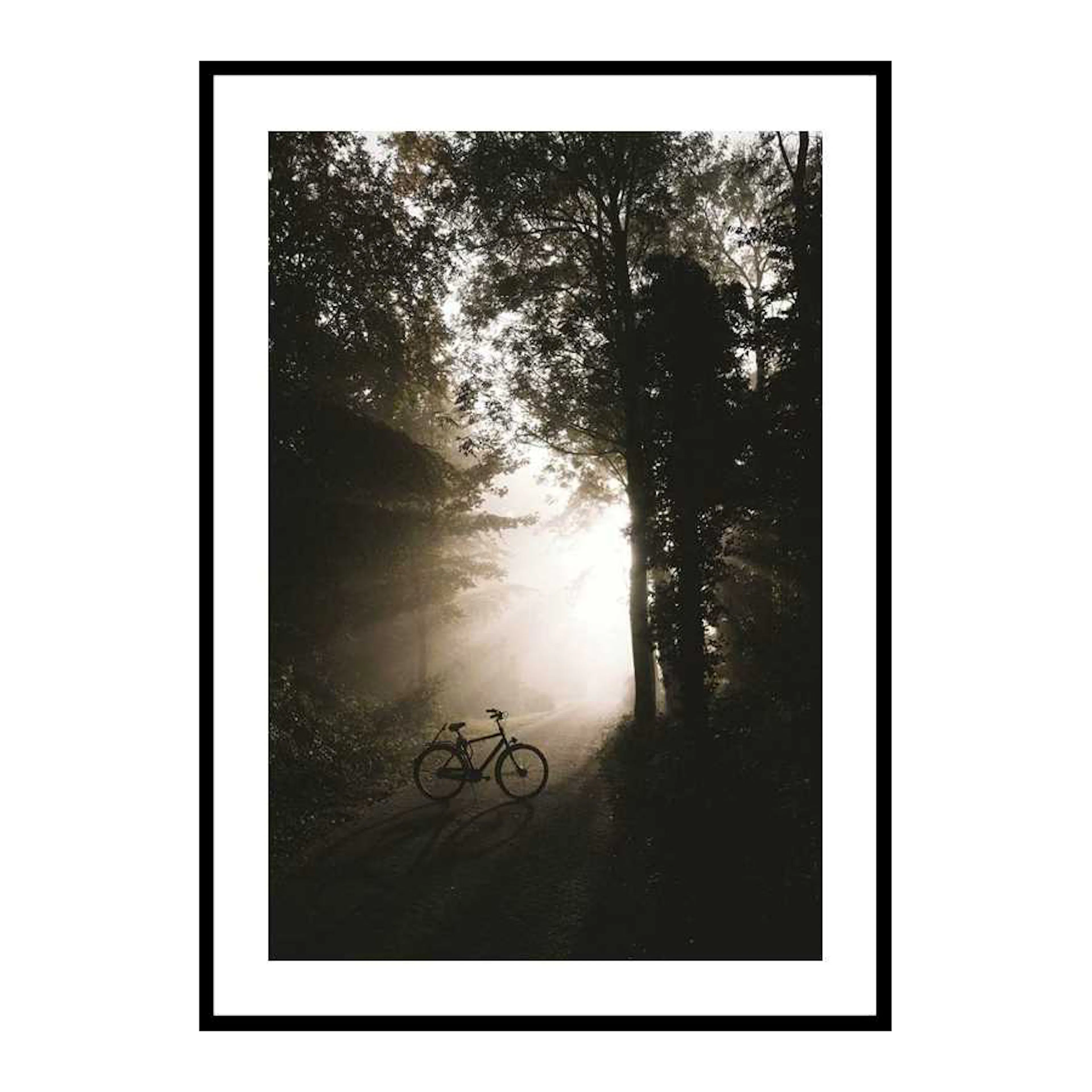 Bike In Forest 30x40 cm
