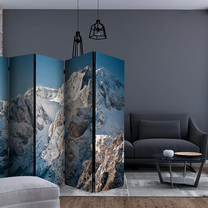 Rumsavdelare Skärmvägg Arkiio Winter In The Alps II 225x172 cm