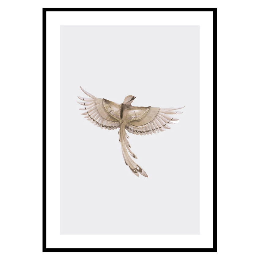 Poster Gallerix Watercolor Jay Bird