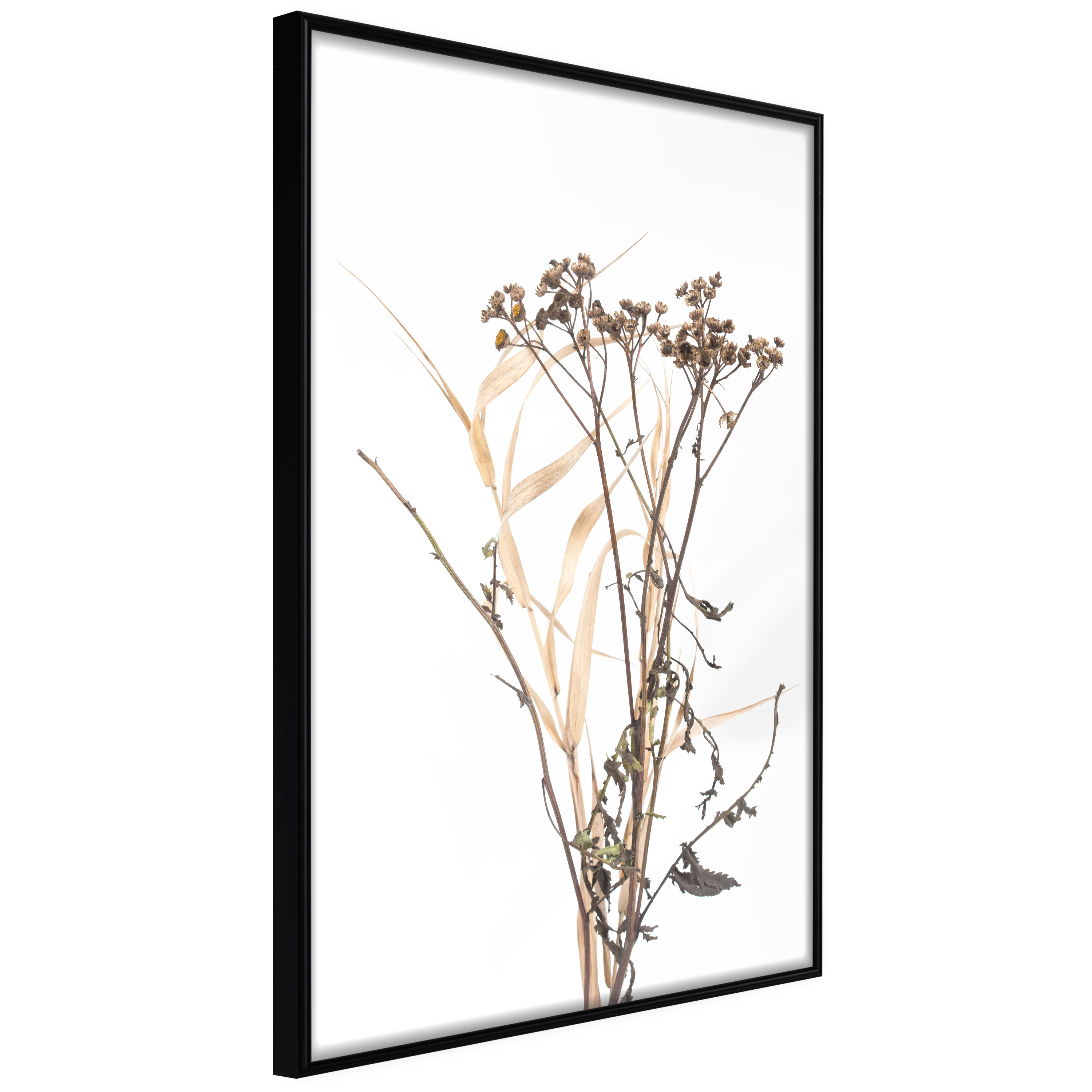 Affisch - Camomile [Poster] 20x30 Svart ram, 20x30 cm