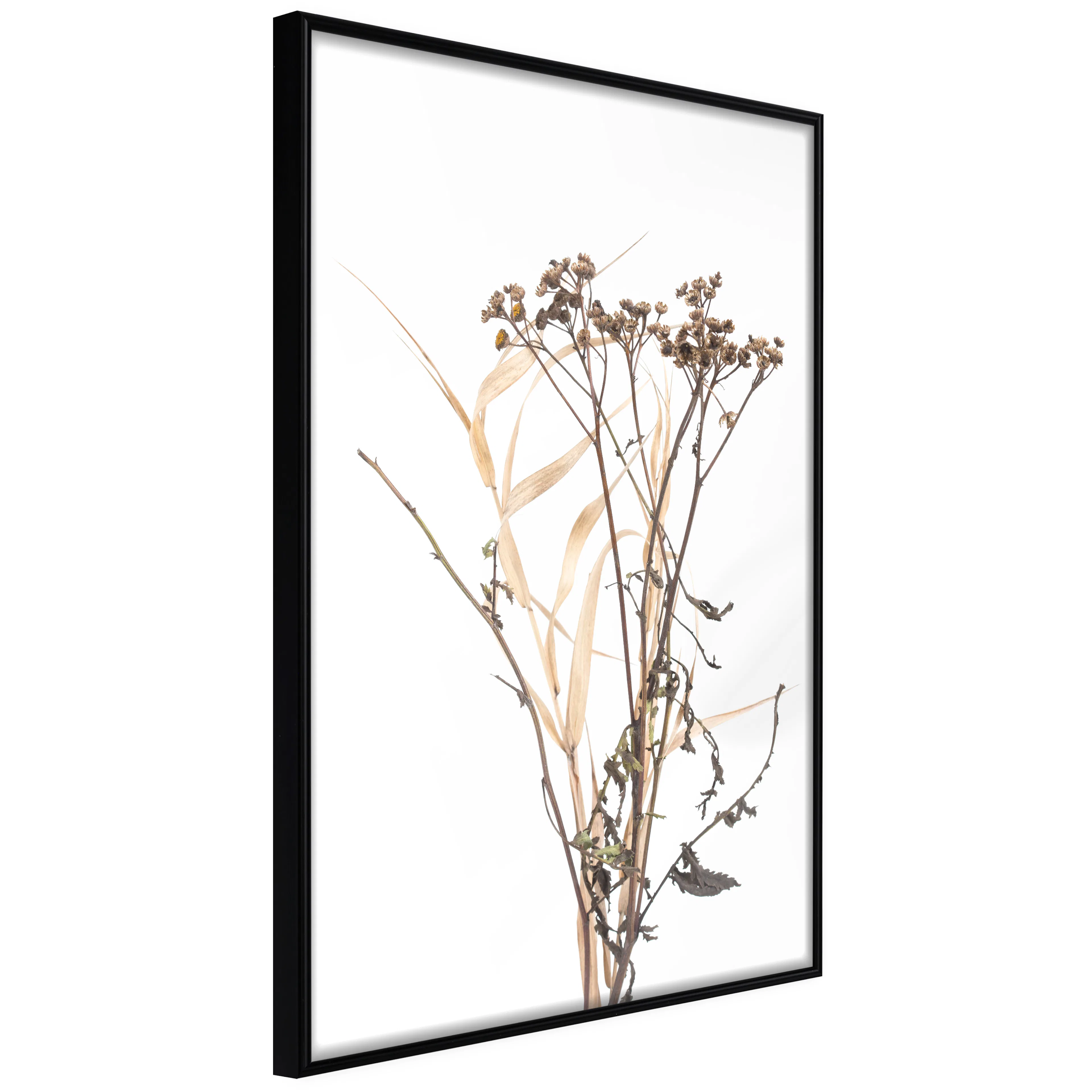 Affisch - Camomile [Poster] 40x60 Svart ram, 40x60 cm