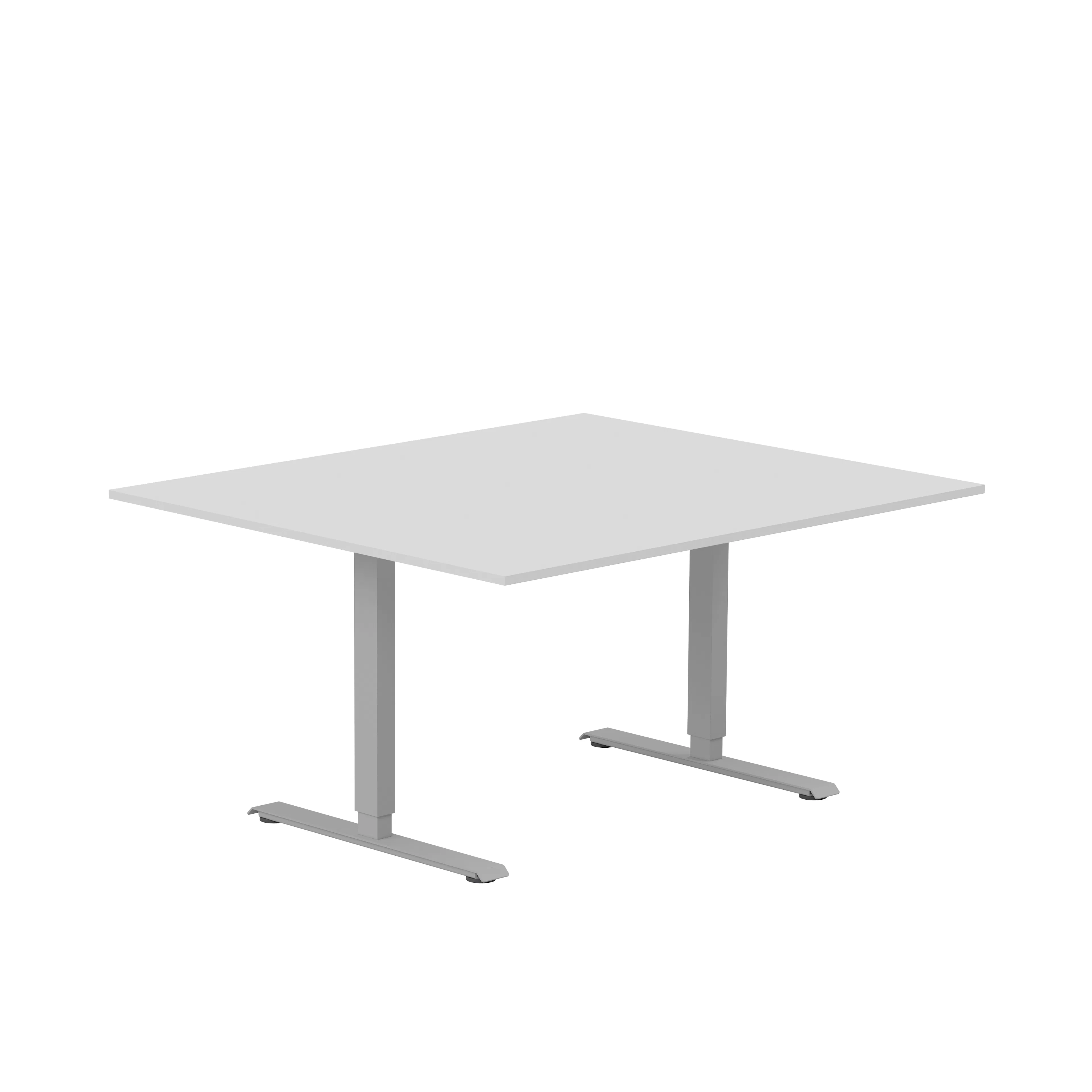Ljusgrå/Silver