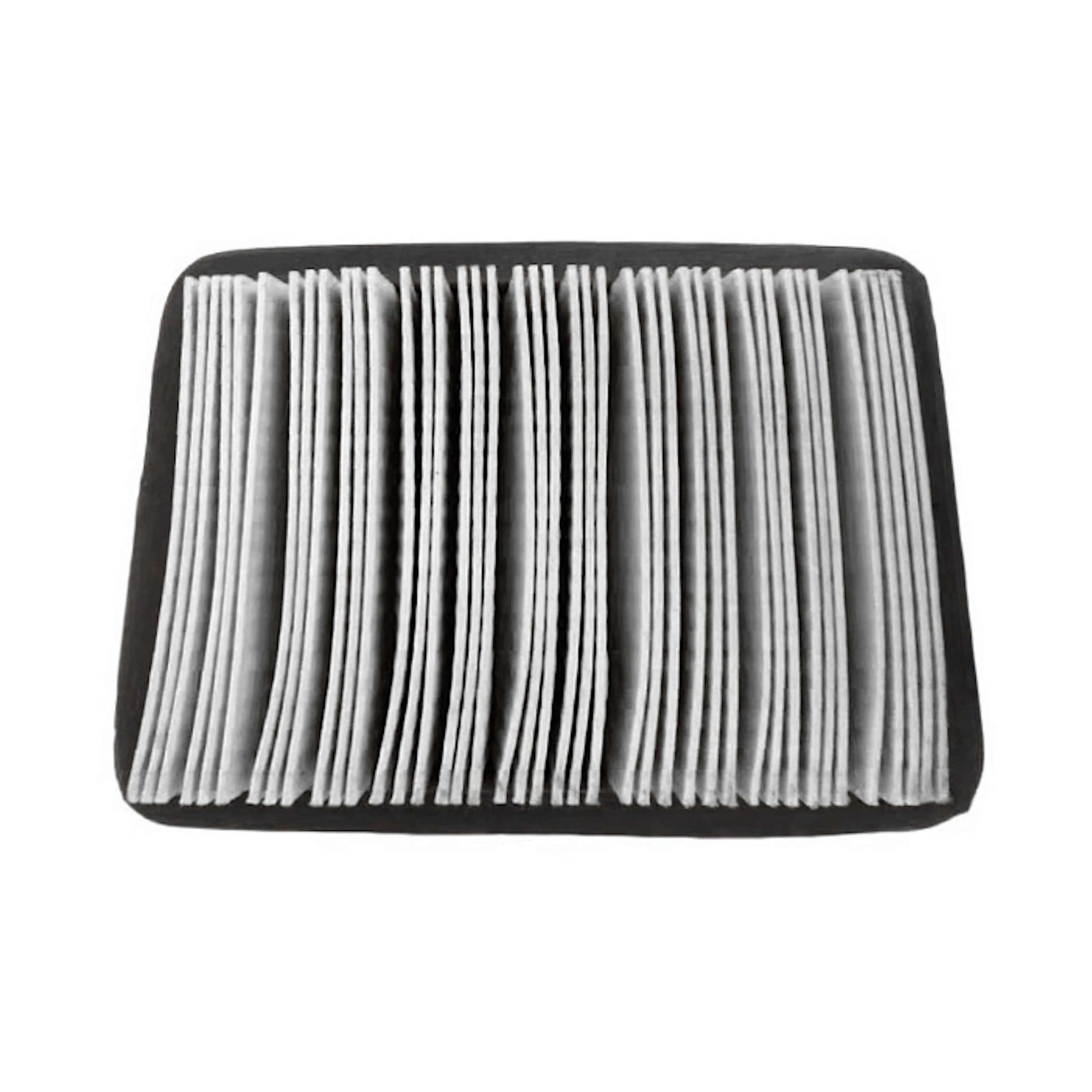 Luftfilter Champion Generators för 73001i-Serien