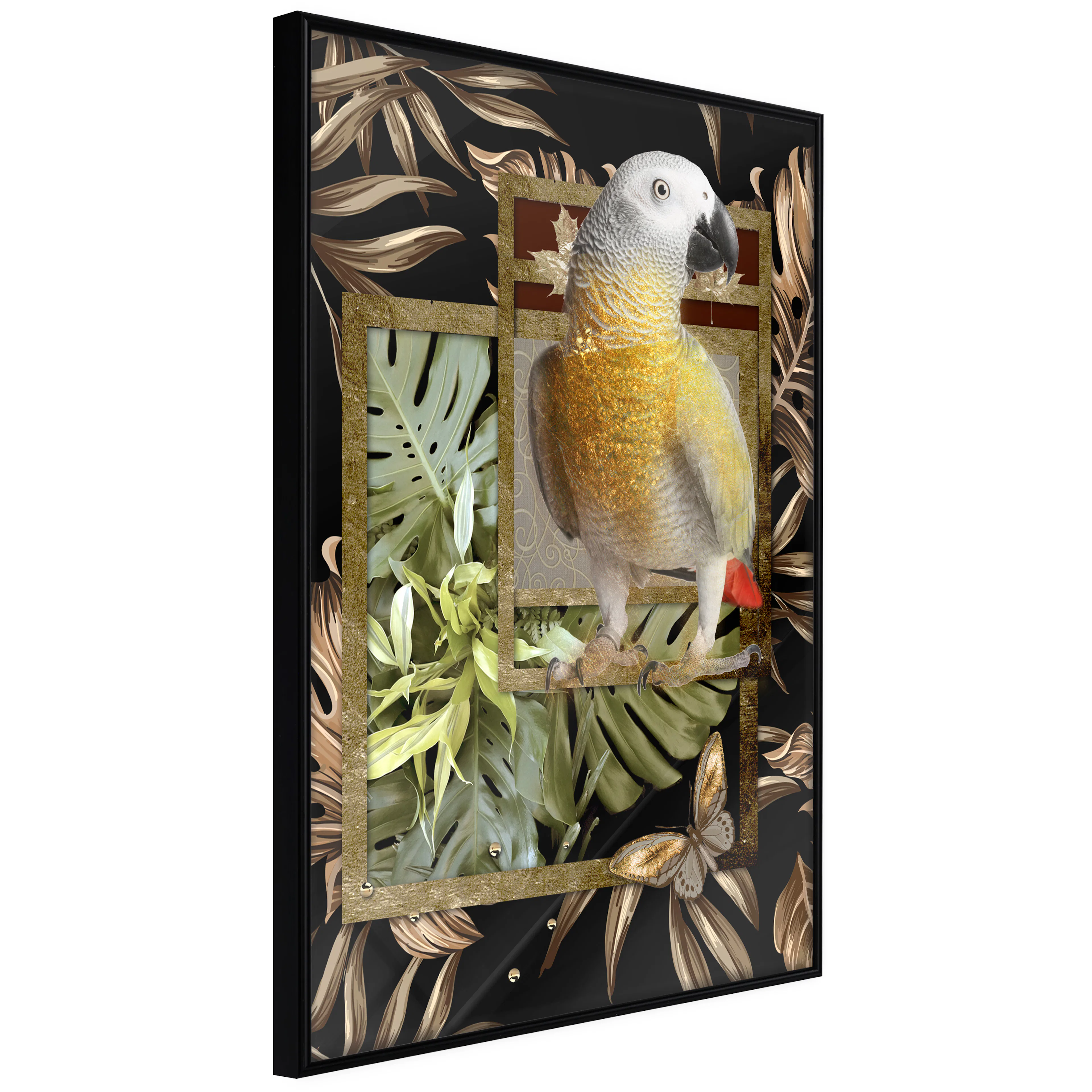 Affisch - Golden Parrot [Poster] 40x60 Svart ram, 40x60 cm