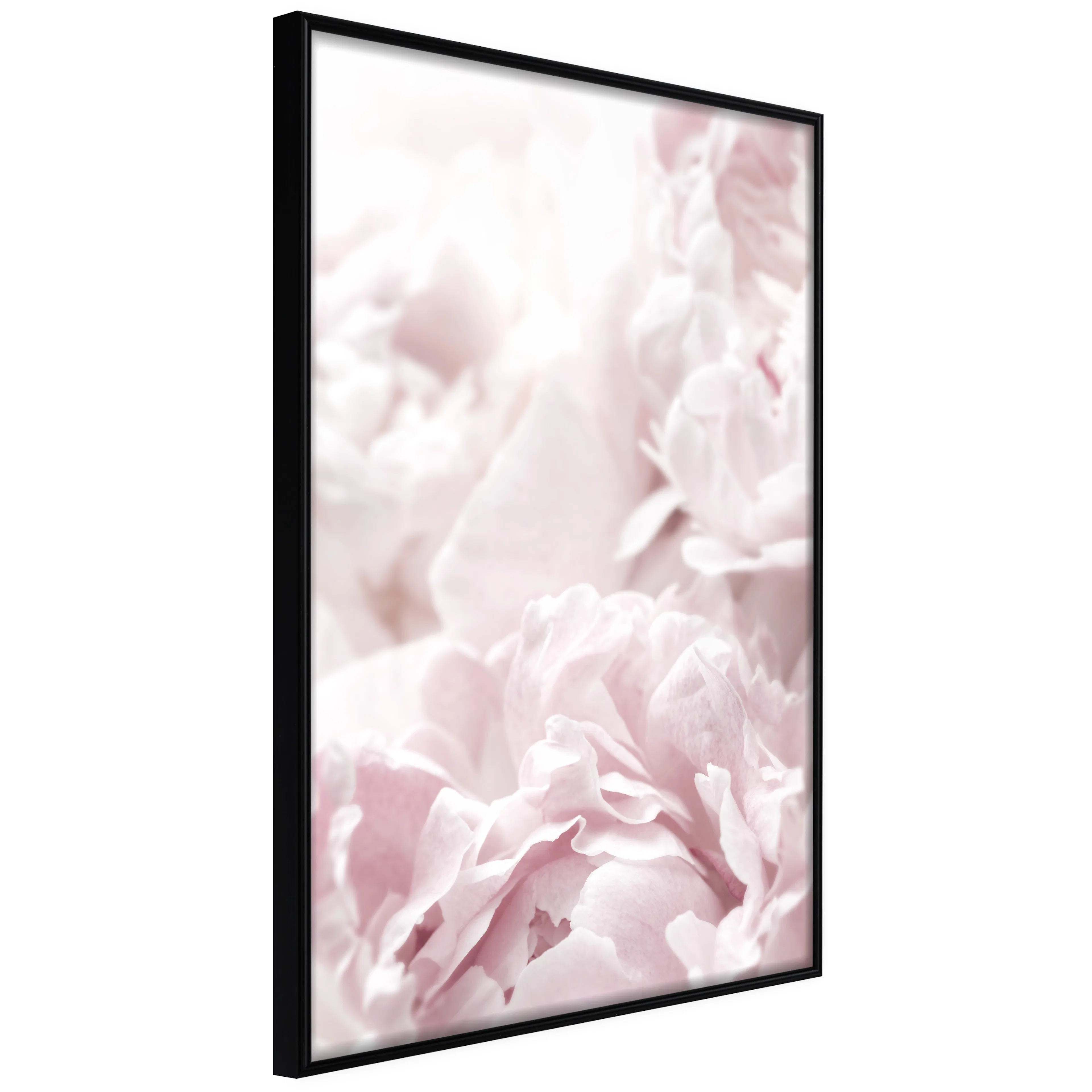 Affisch - Fluffy Peonies [Poster] 40x60 Svart ram, 40x60 cm