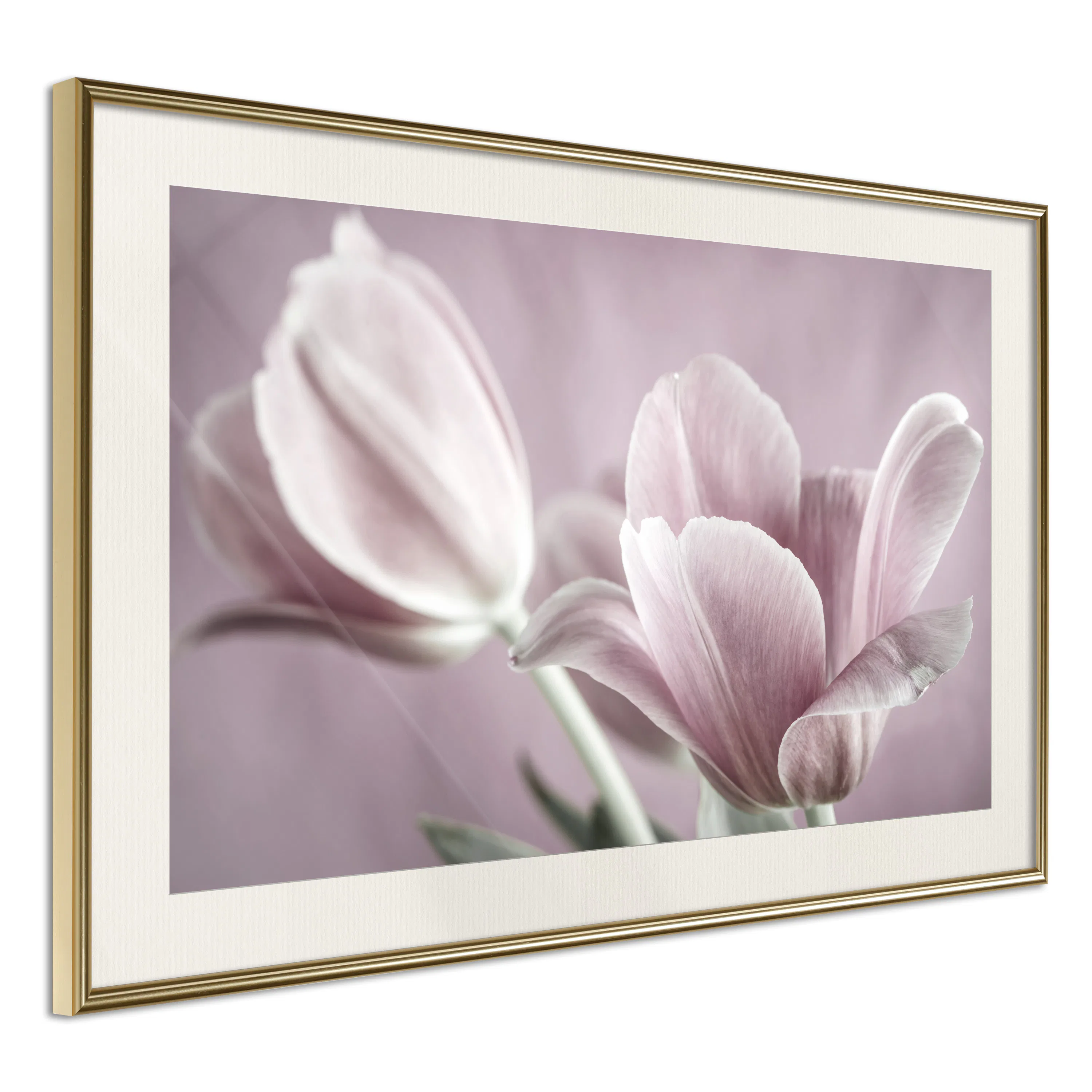 Poster Artgeist Affisch Pink Tulips