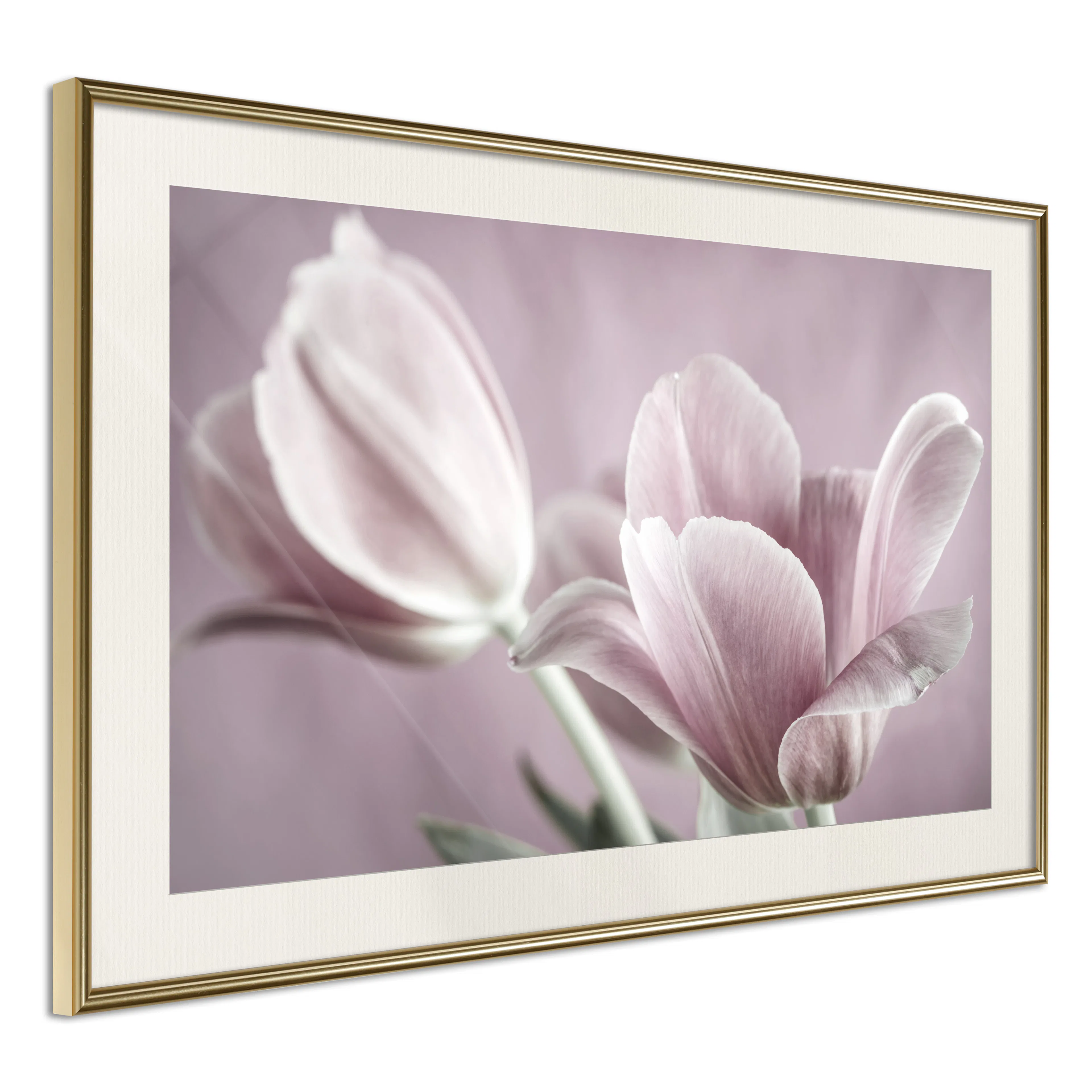 Poster Artgeist Affisch Pink Tulips