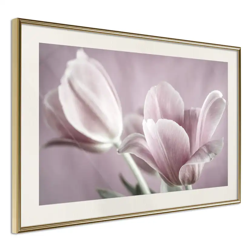 Poster Artgeist Affisch Pink Tulips