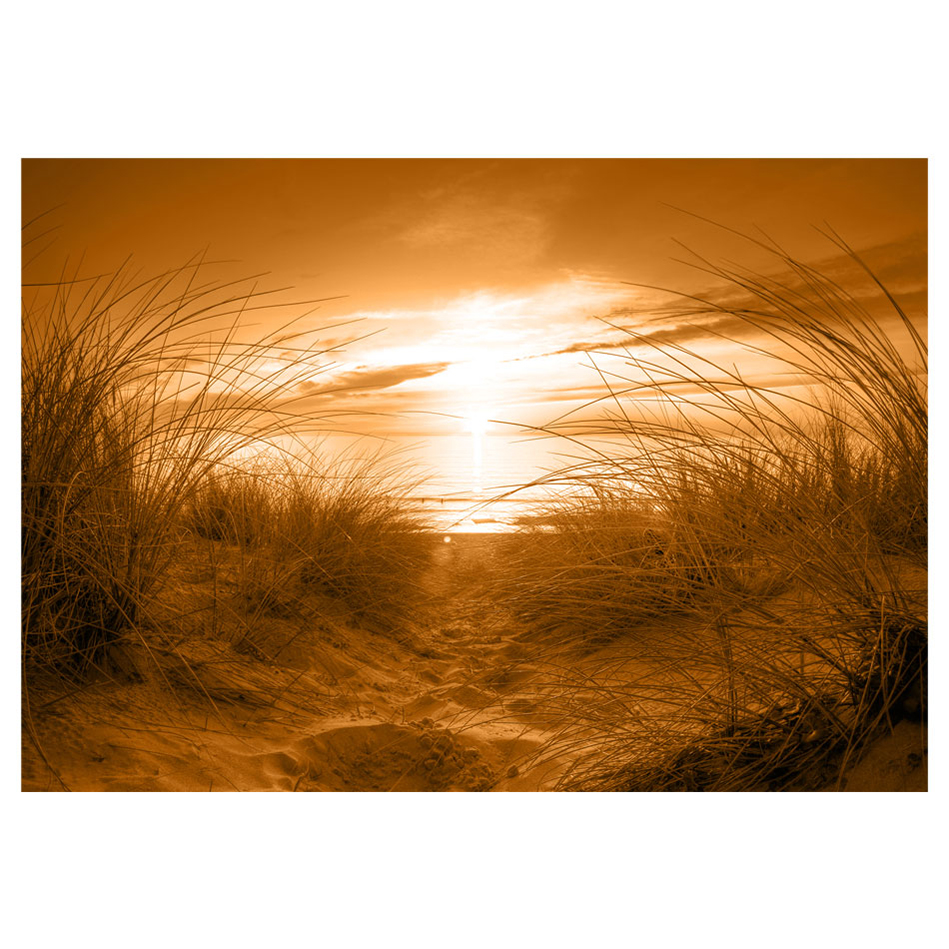 Fototapet Arkiio Beach Sepia