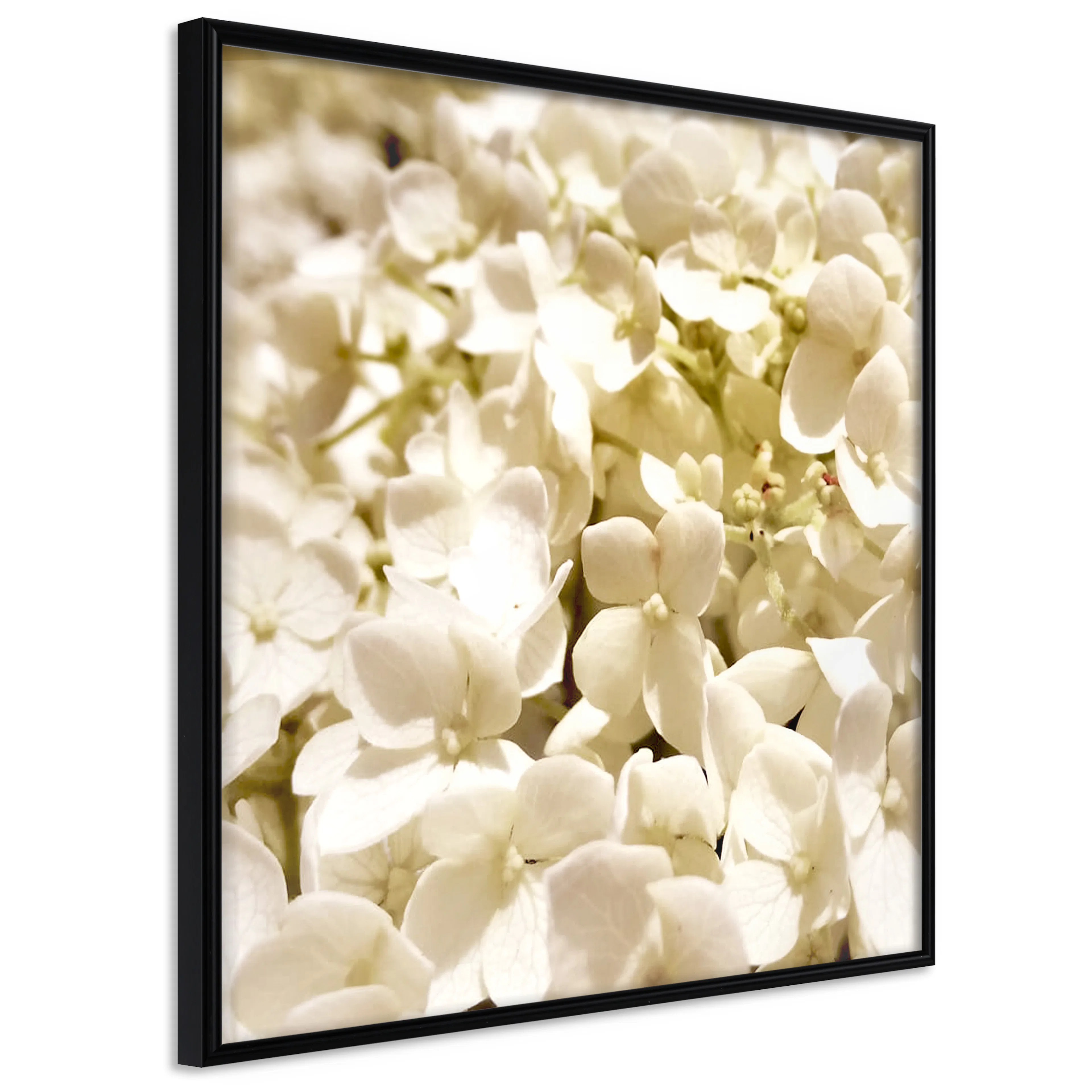 Affisch - White Meadow [Poster] 20x20 Svart ram, 20x20 cm