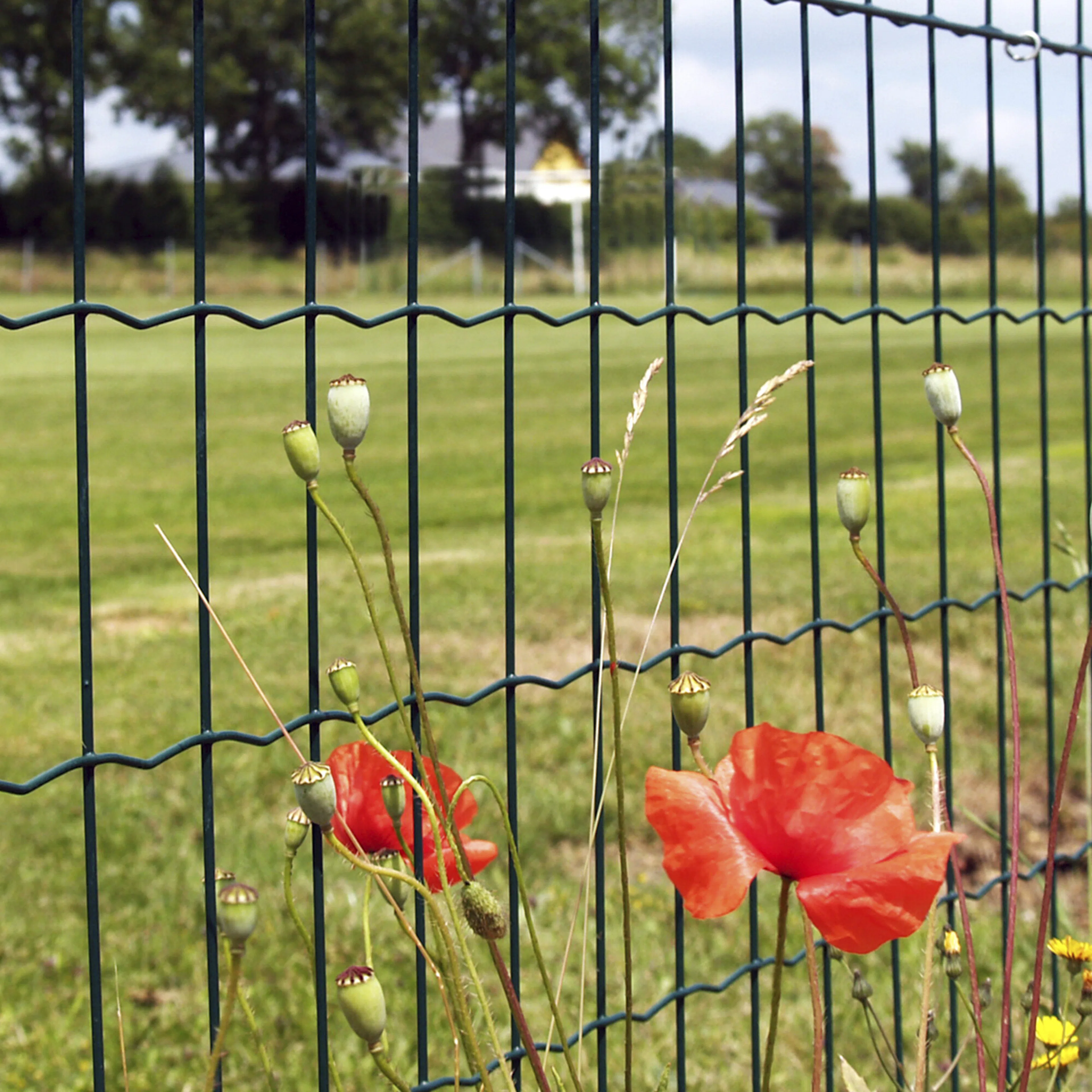 Stängsel Hortus Grönt 20x1,2 m Med Maskor 10x5 cm