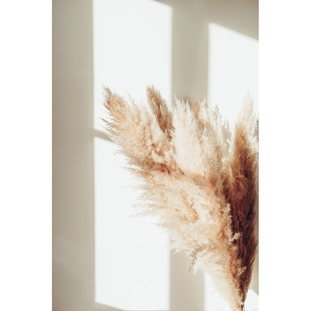 Posters Venture Home Pampas Beige