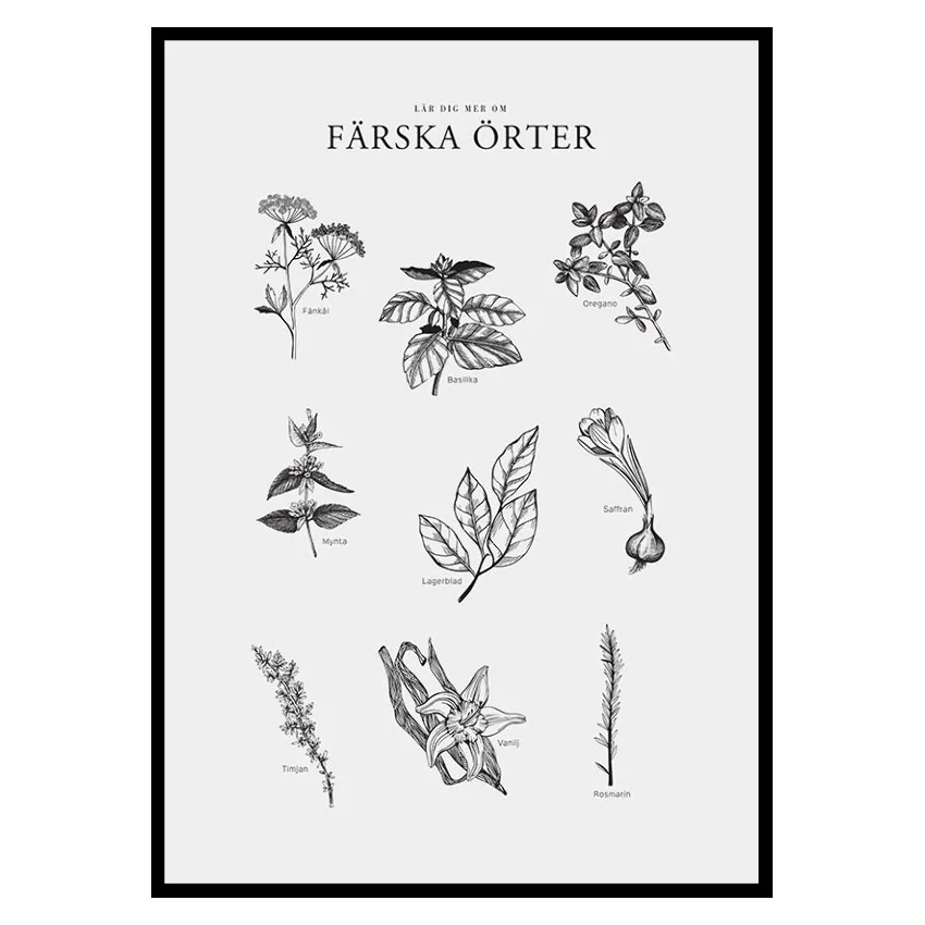 Poster Gallerix Färska Örter