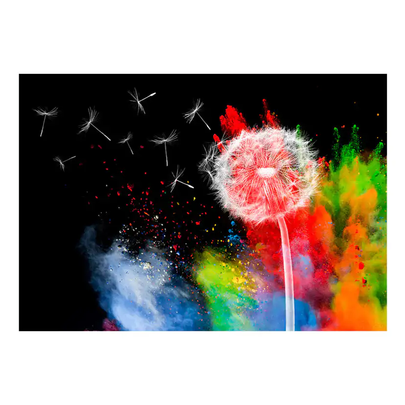 Fototapet Arkiio Colourful Element