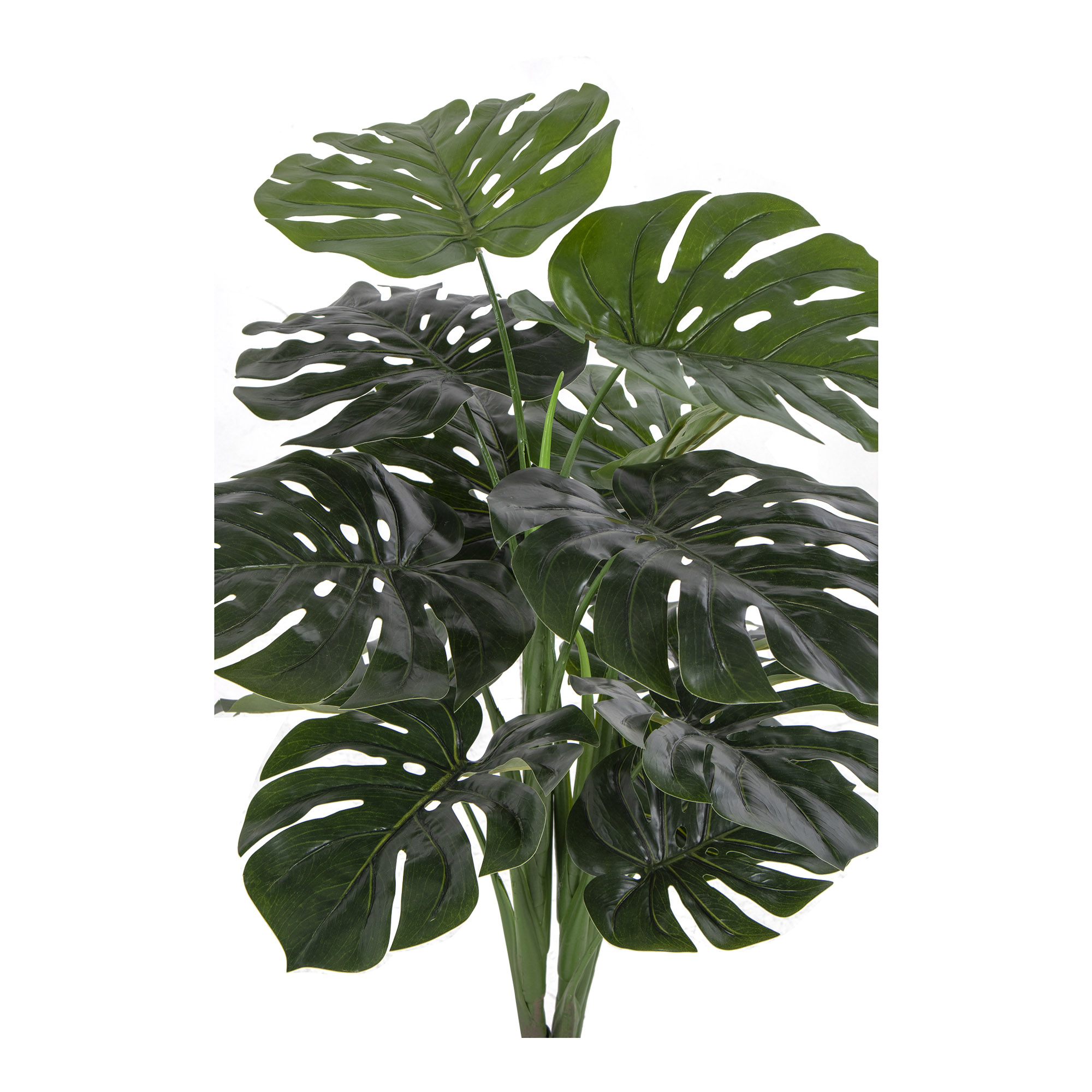 Konstväxt House Nordic Monstera