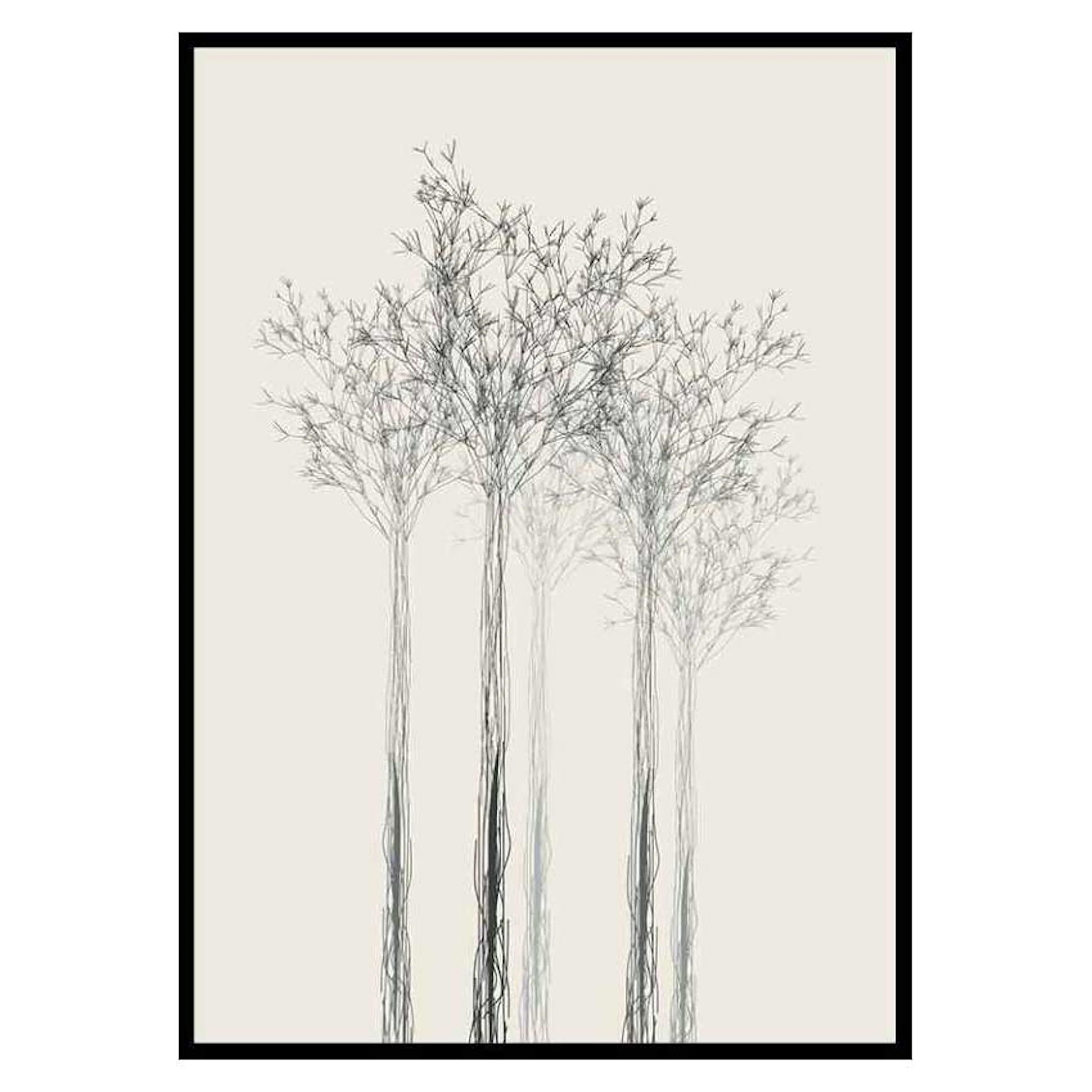 Poster Gallerix Sketched Trees