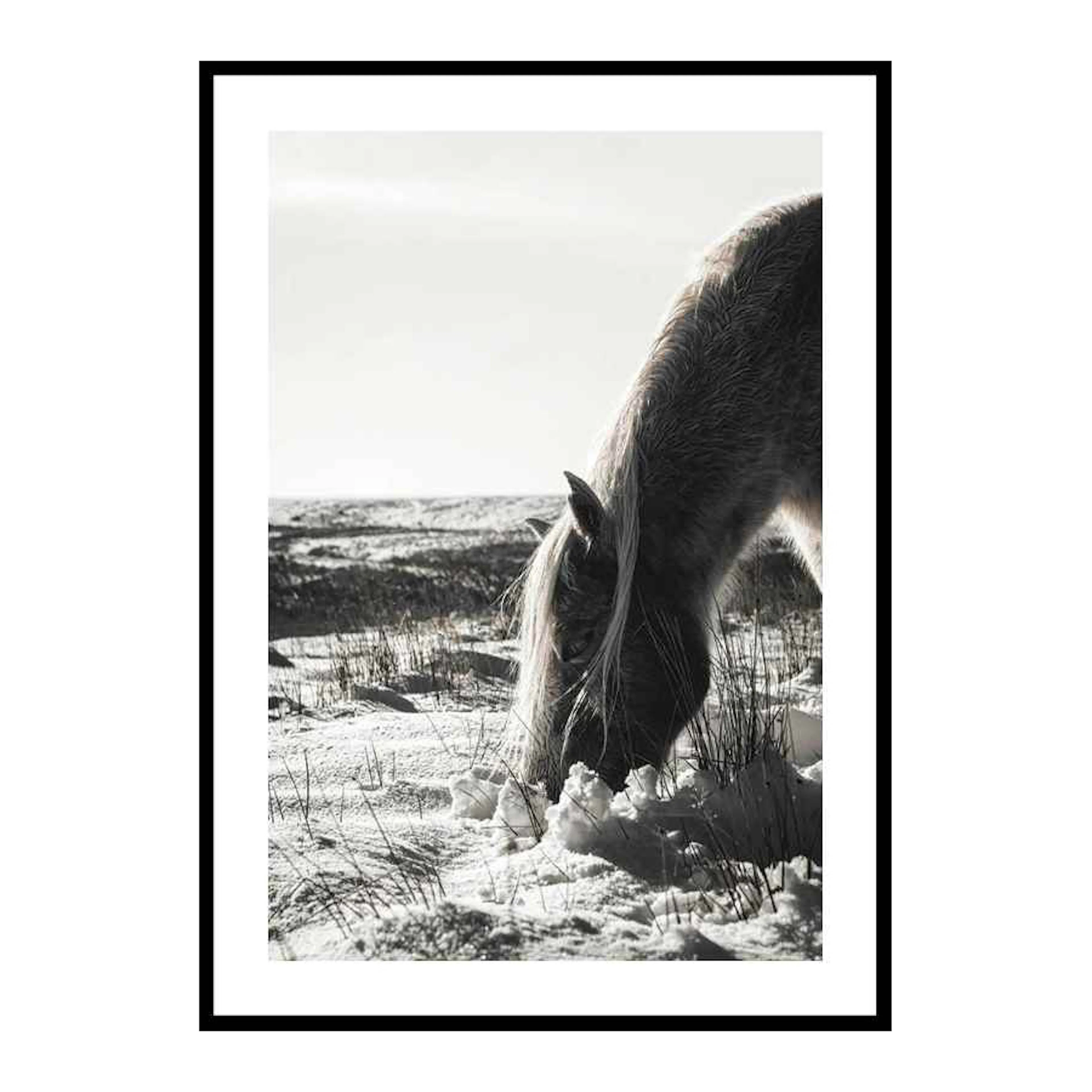 Poster Gallerix Winter Horse