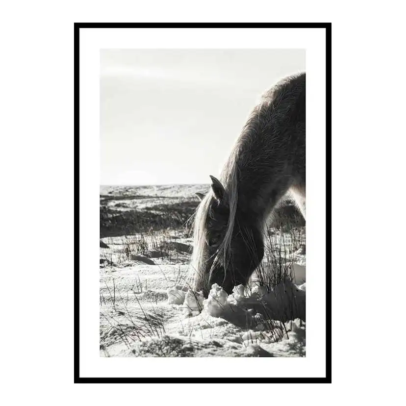 Poster Gallerix Winter Horse
