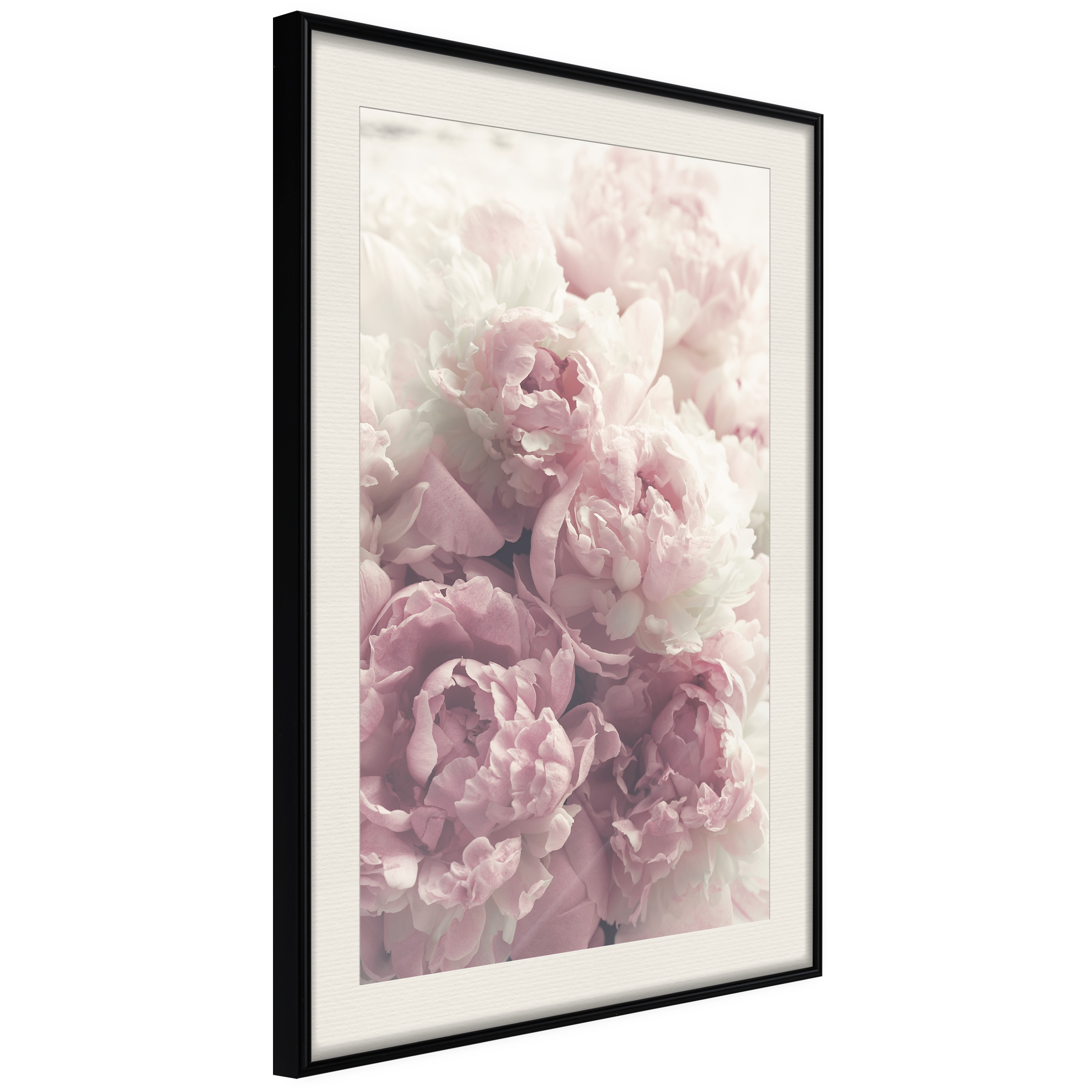 Affisch - Delicate Peonies [Poster] 40x60 Svart ram med passepartout, 40x60 cm