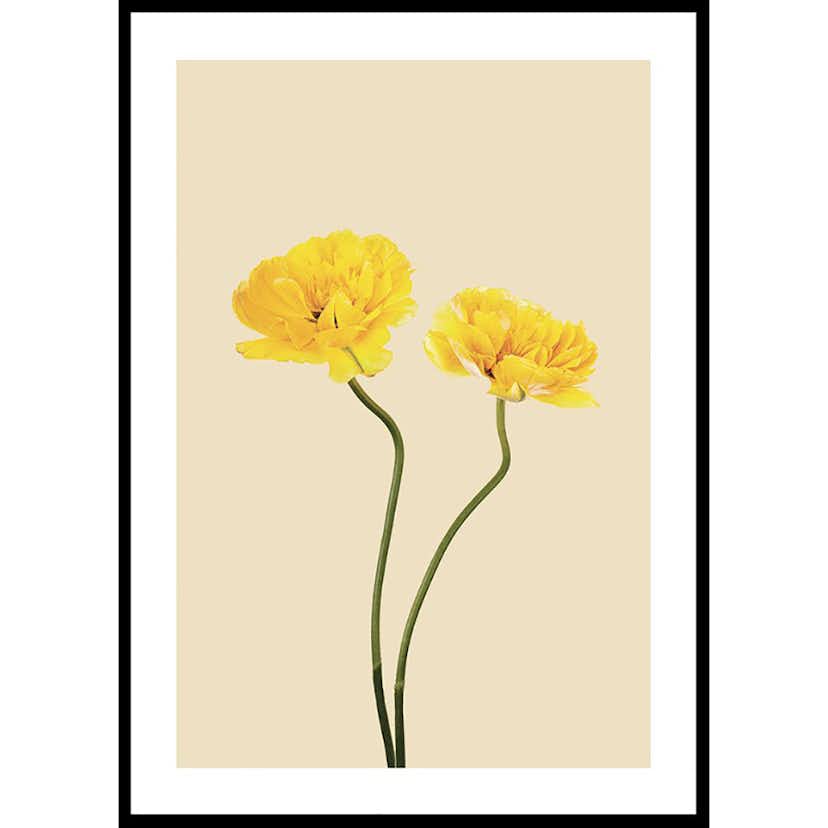 Poster Gallerix Yellow Tulips