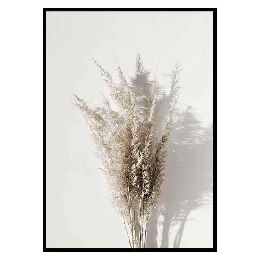 Poster Gallerix Dry Reeds No1