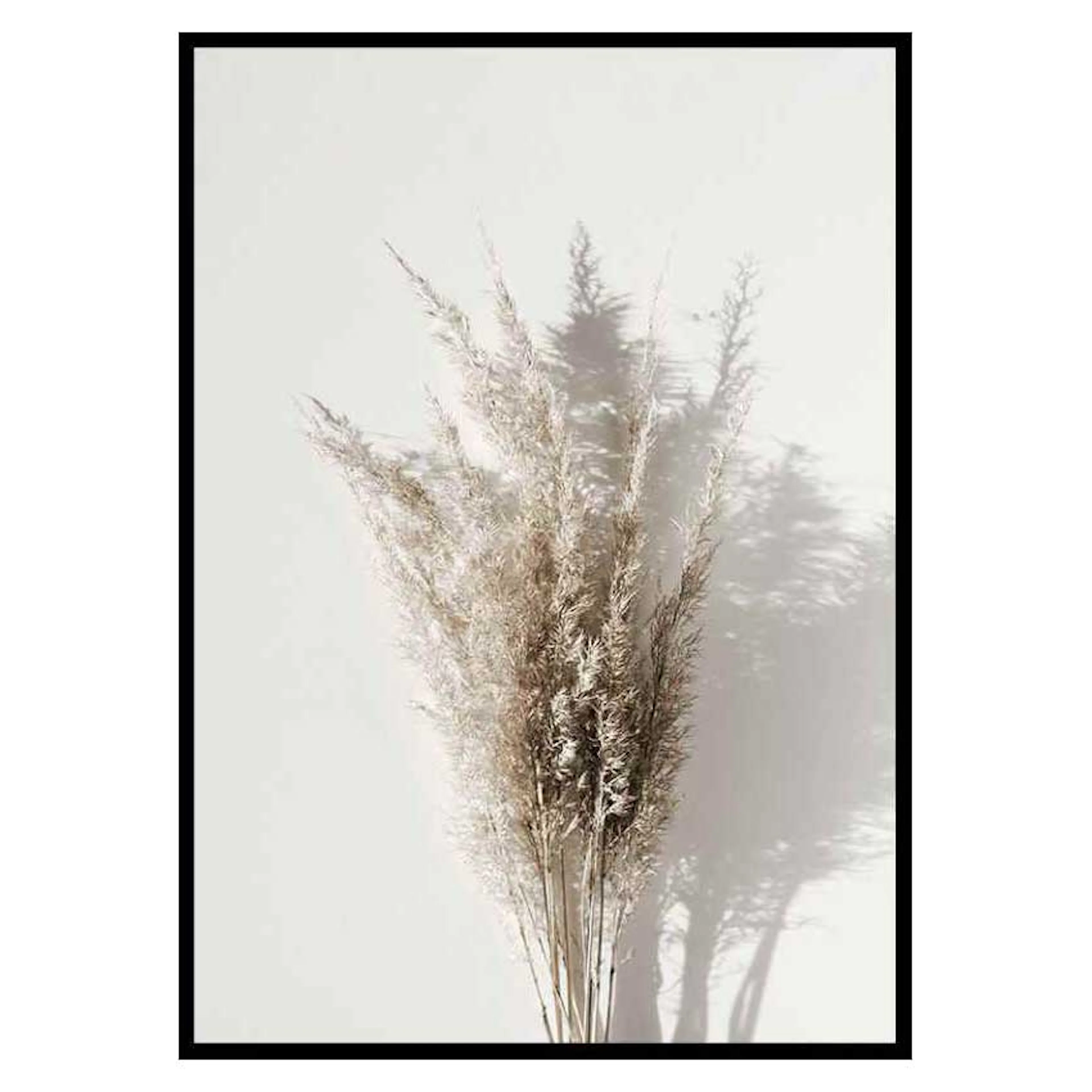 Poster Gallerix Dry Reeds No1
