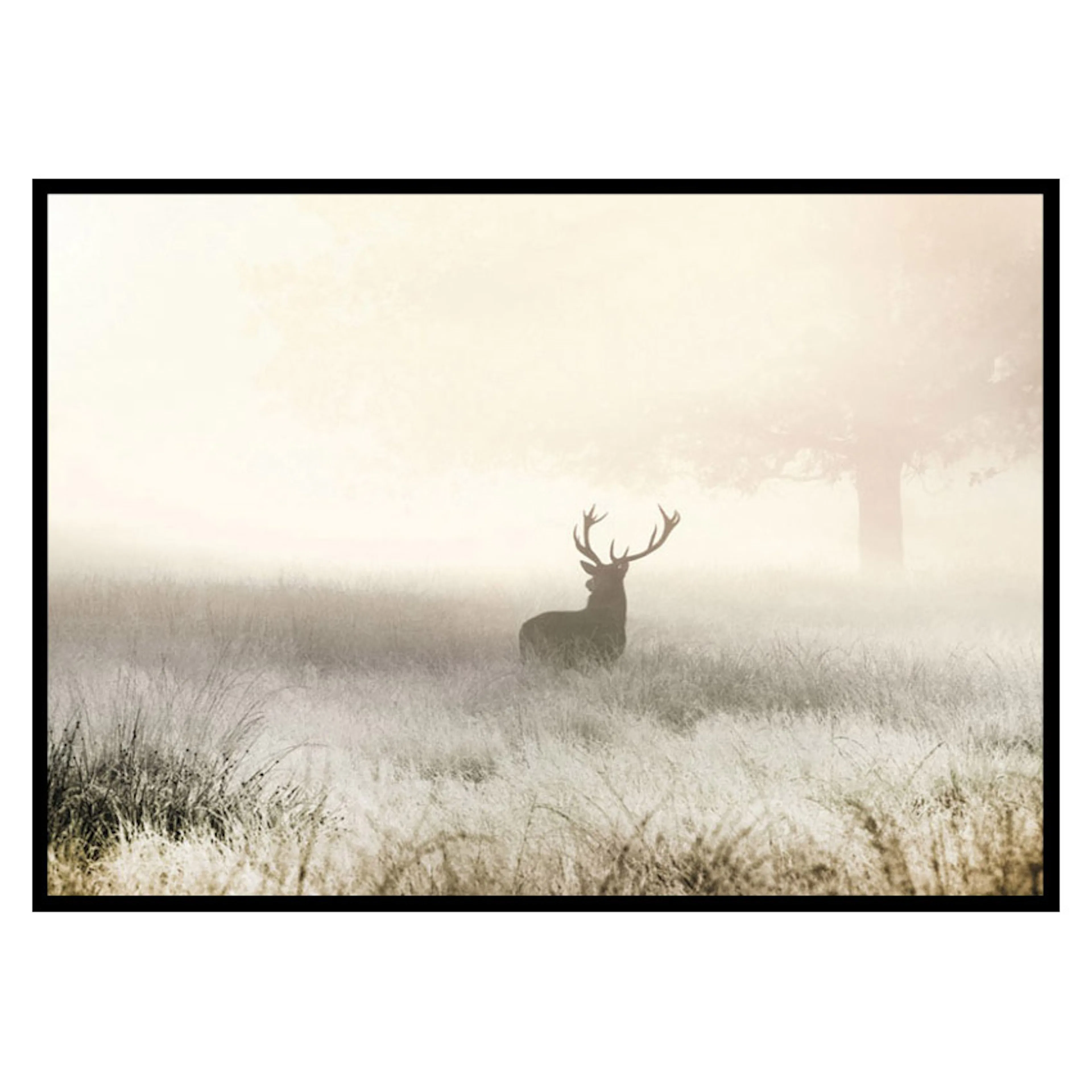 Poster Gallerix Deer In Mist