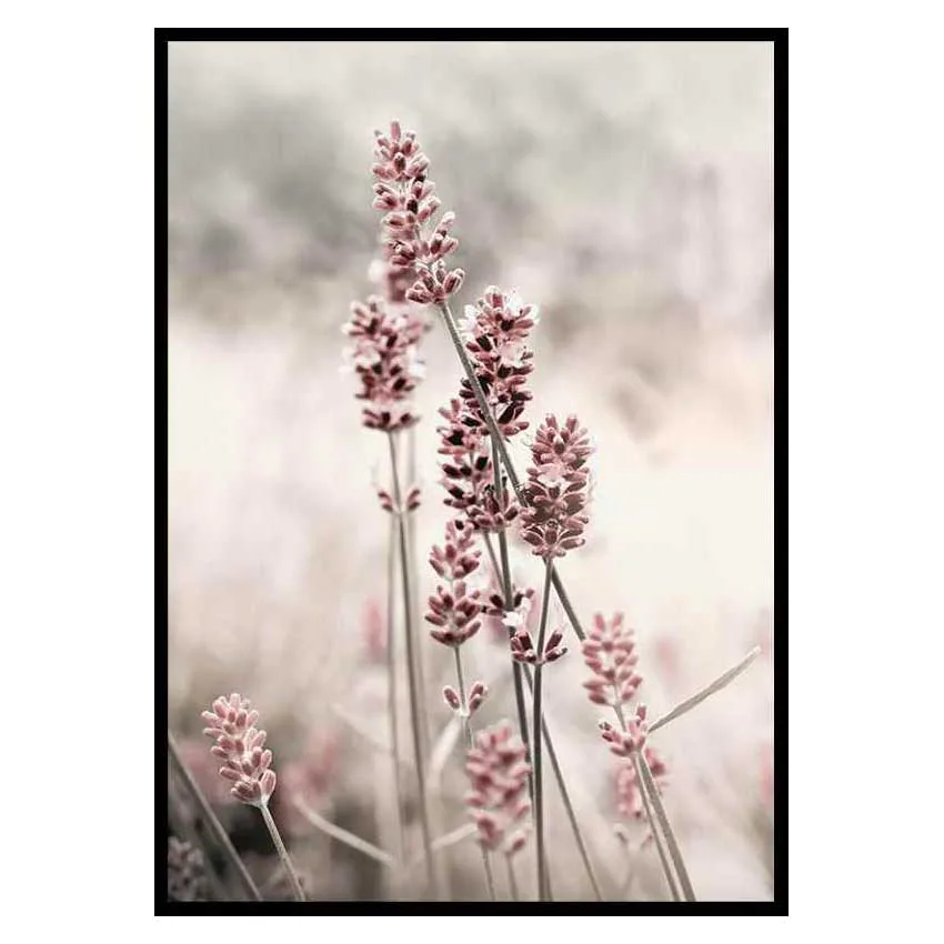 Poster Gallerix Dried Plants No4