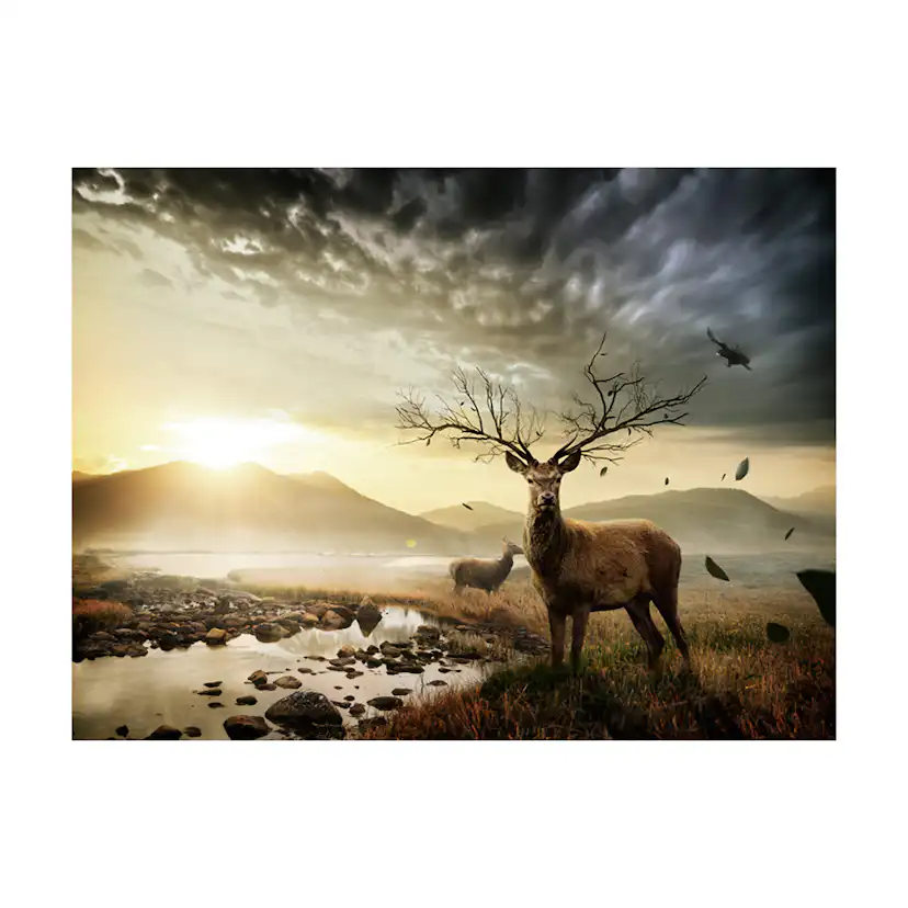 Fototapet Arkiio Deers Genom Fjällbäck