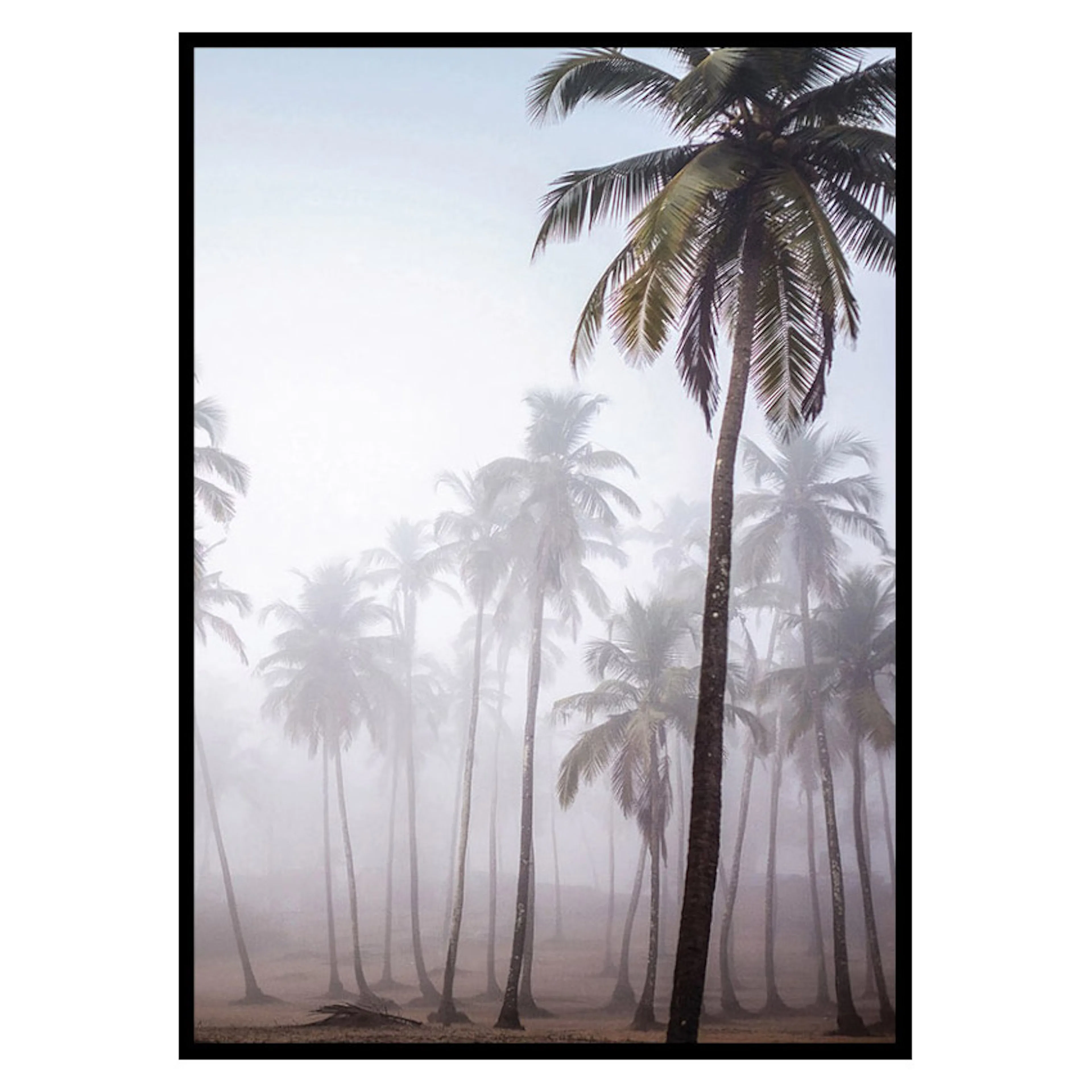 Poster Gallerix Palms In Haze