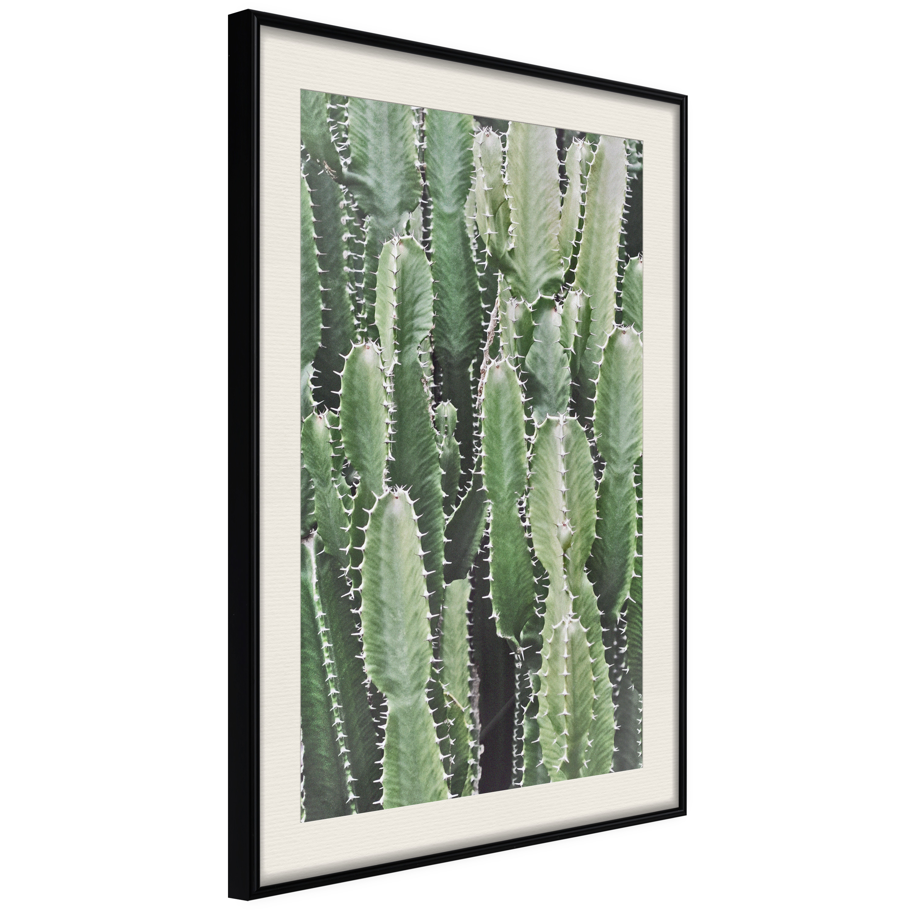 Affisch - Cactus Garden [Poster] 20x30 Svart ram med passepartout, 20x30 cm